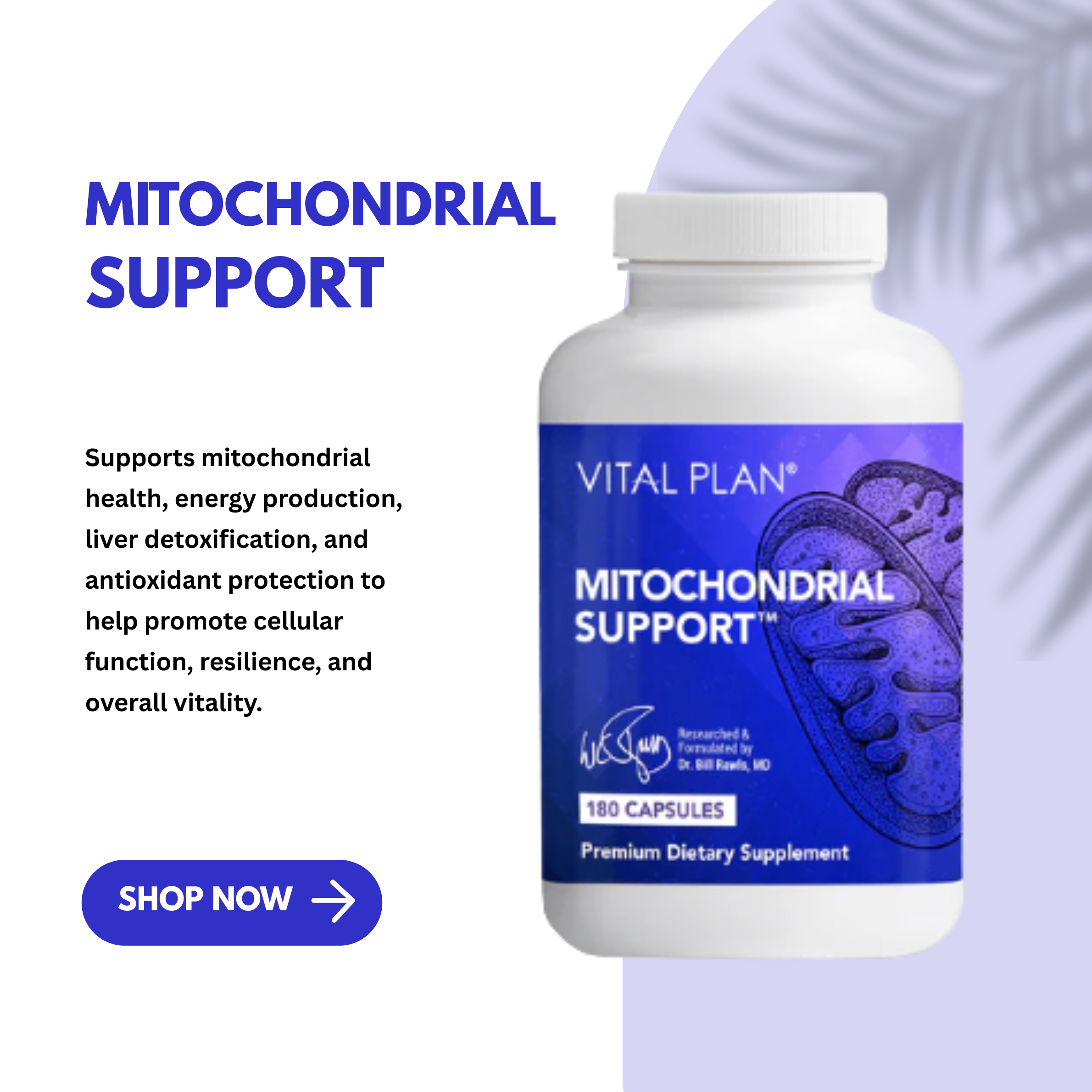 Mitochondrial Supportby Vital Plan