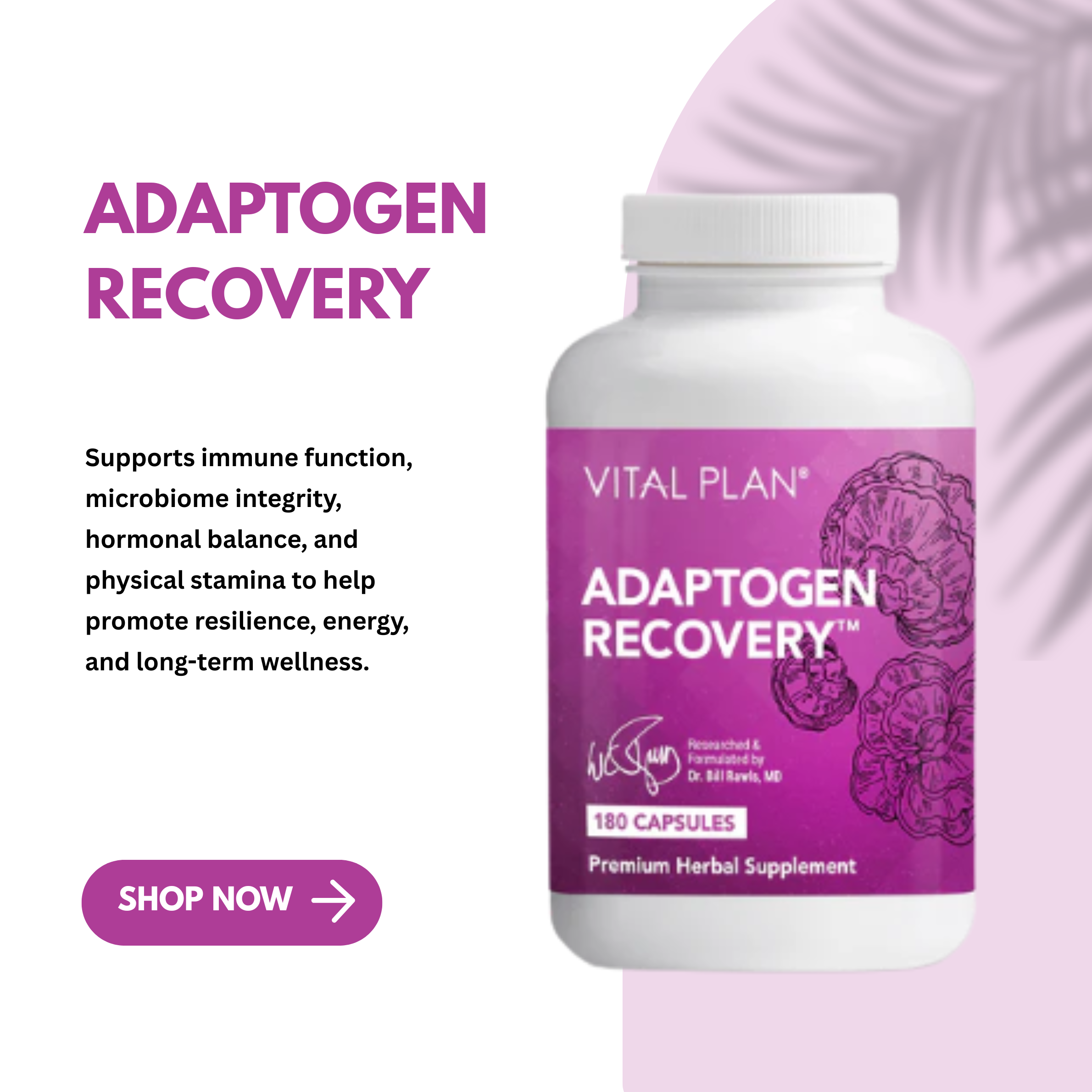 Adaptogen Recovery by Vital Plan