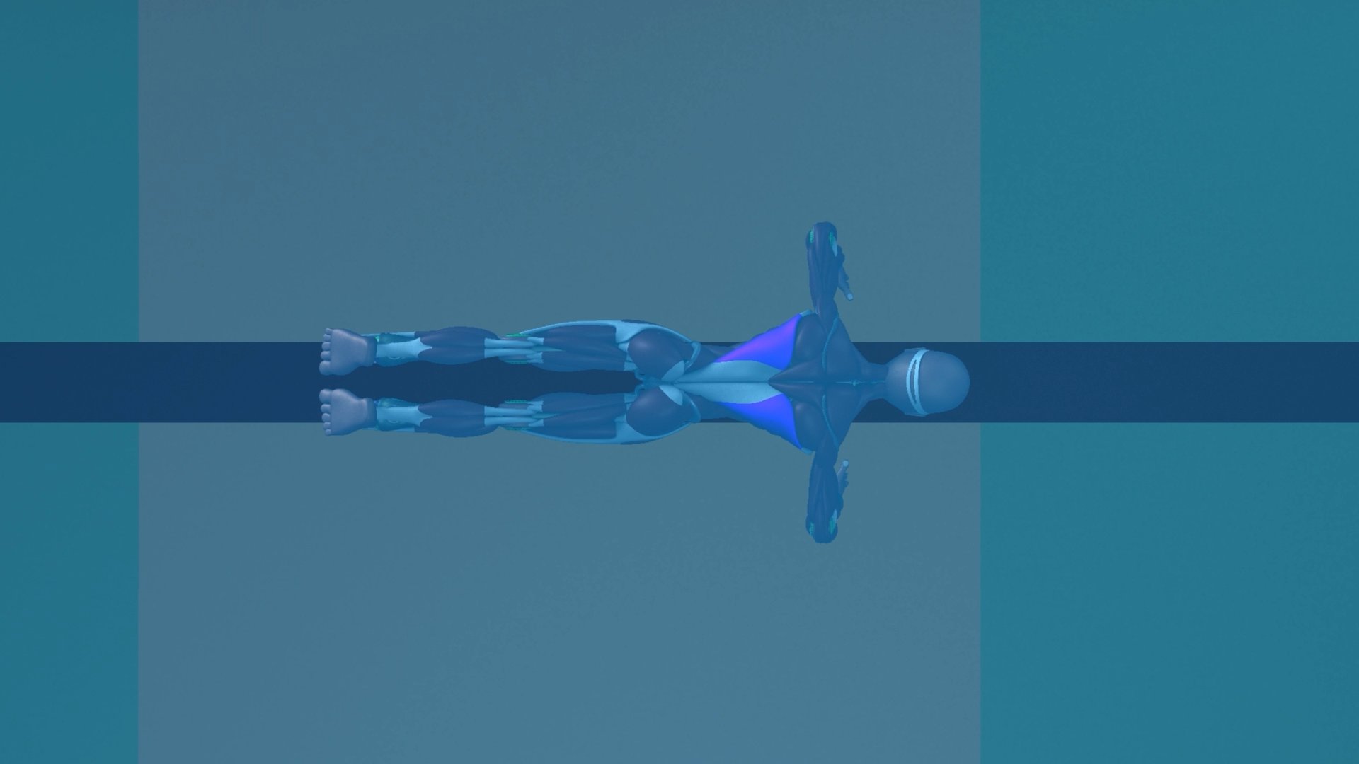 Start-BreaststrokePullout-Muscles-Top-Motion.png