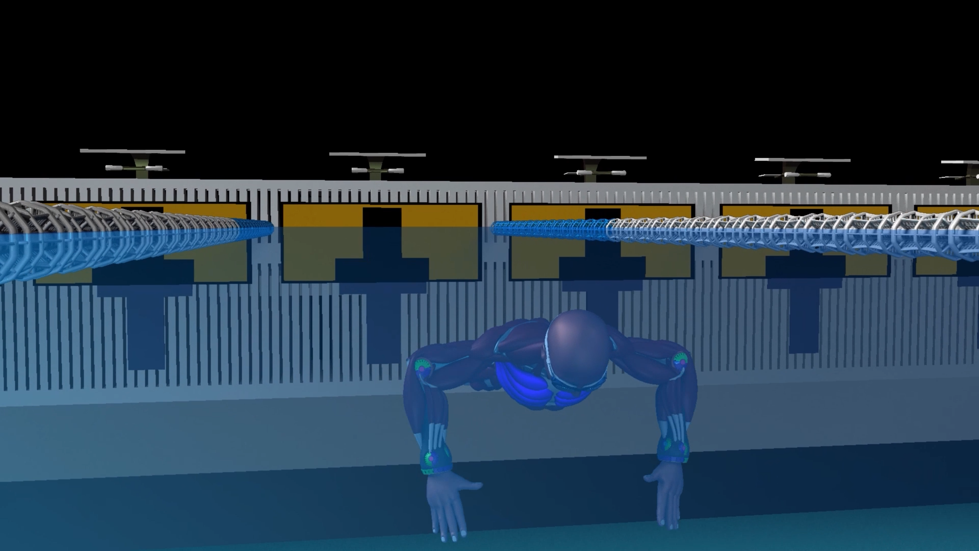 Start-BreaststrokePullout-Muscles-Back-Motion.png