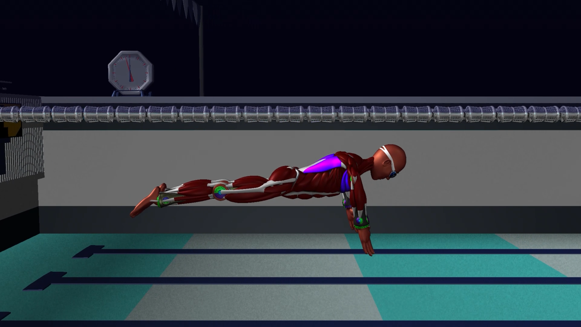 Start-BreaststrokePullout-Muscles-Side-Motion.png
