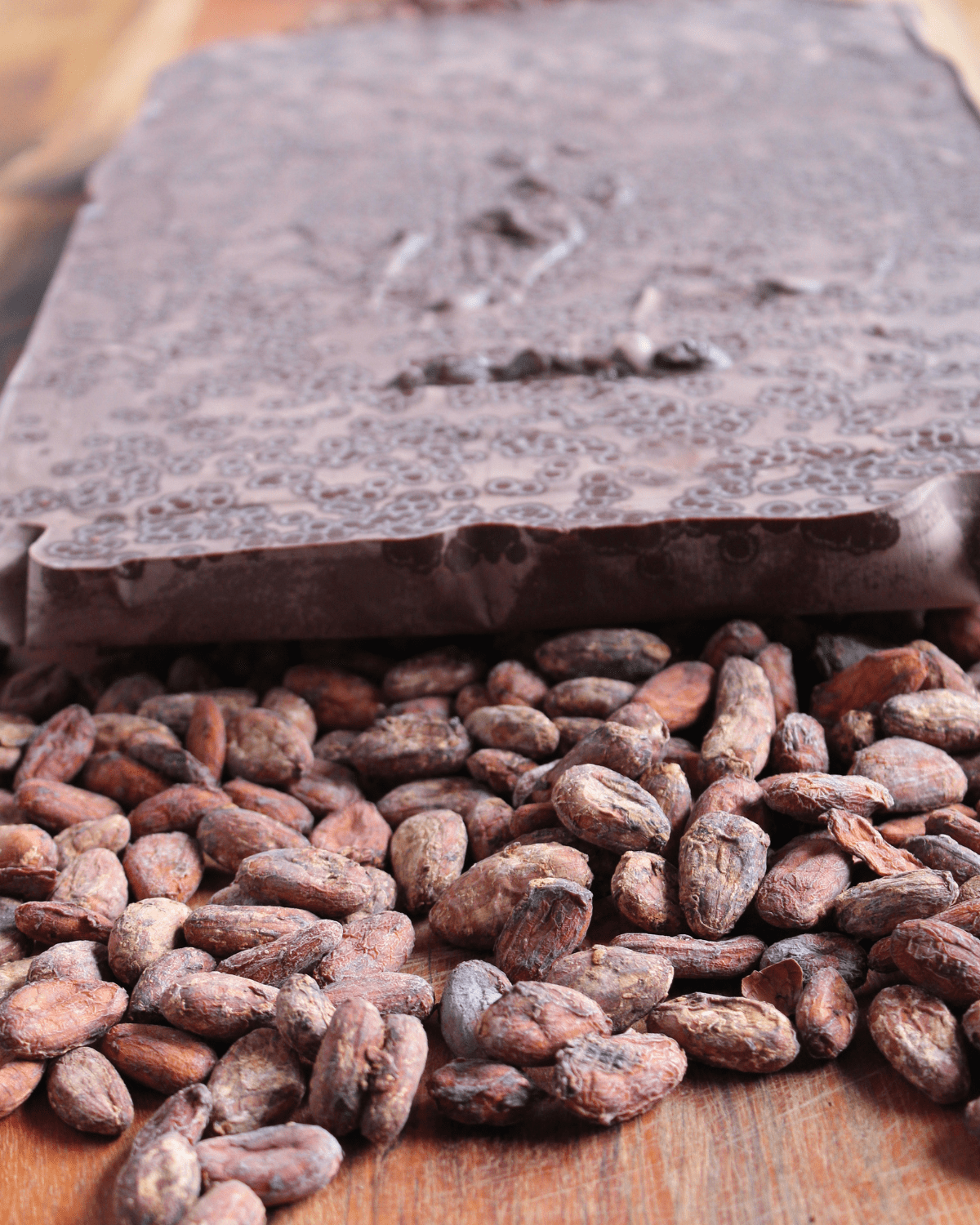 Organic Untempered Cacao Mass with cacao beans around it.