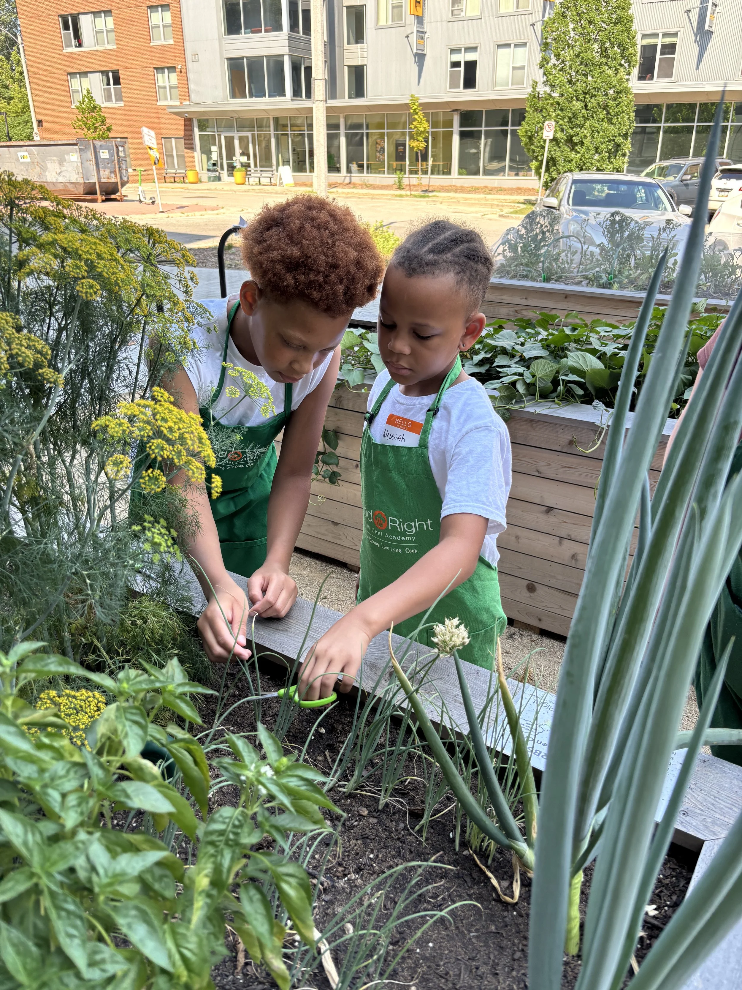 Two children wearing green aprons are working together in a community garden, tending to the plants and vegetables.