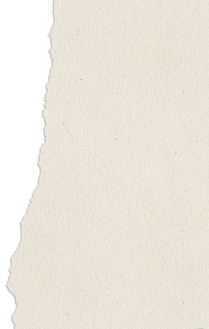 Textured cream paper with a torn left edge