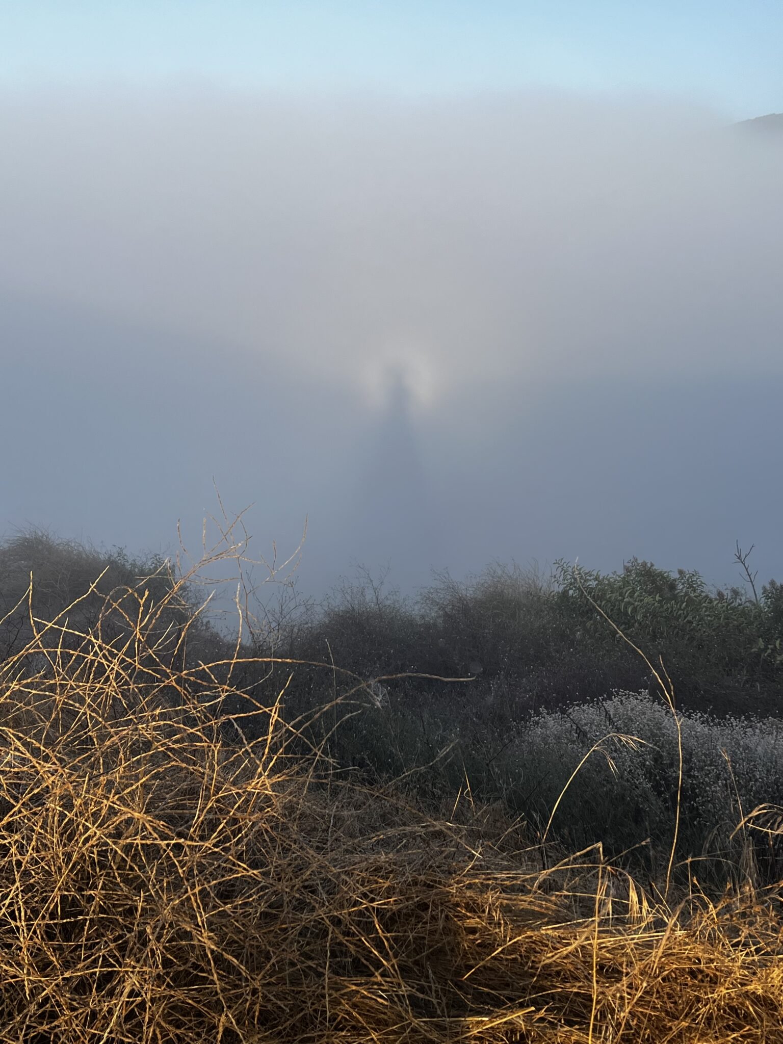 Magical Shadow into Marine Layer at Sunrise