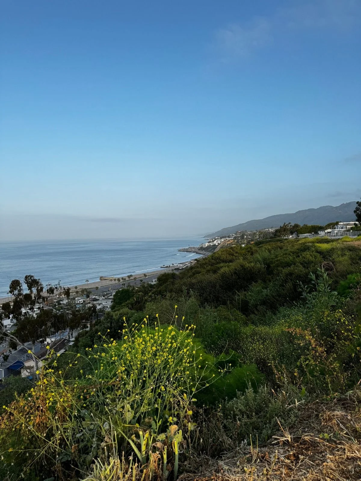 THE RESILEnce of nature