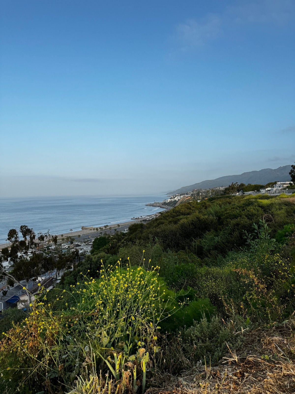 Pacific Palisades Bluff View to Malibu