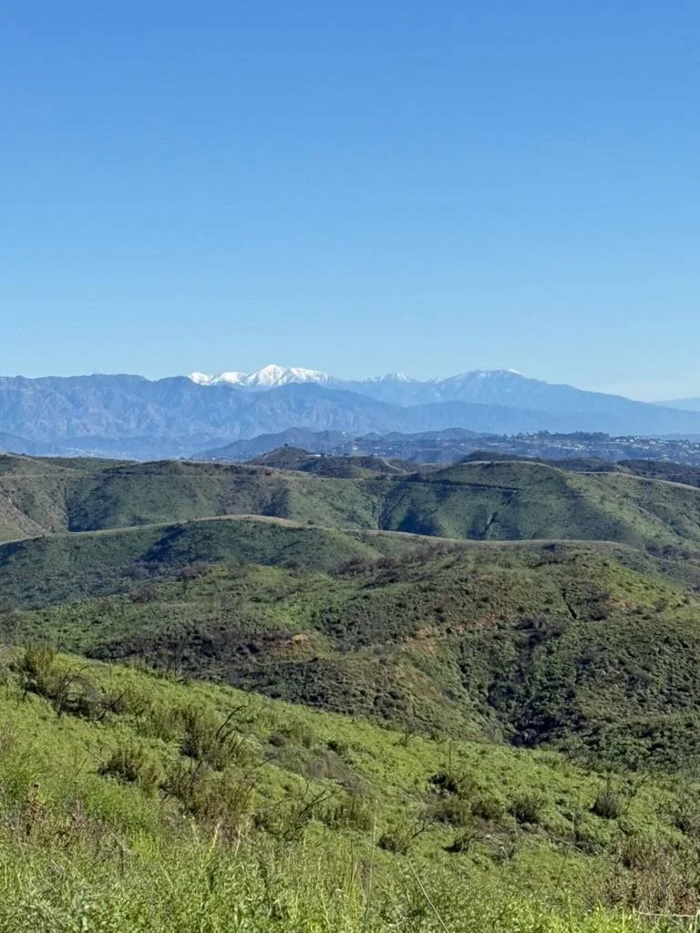 Steven Rindner view to Mt Baldy