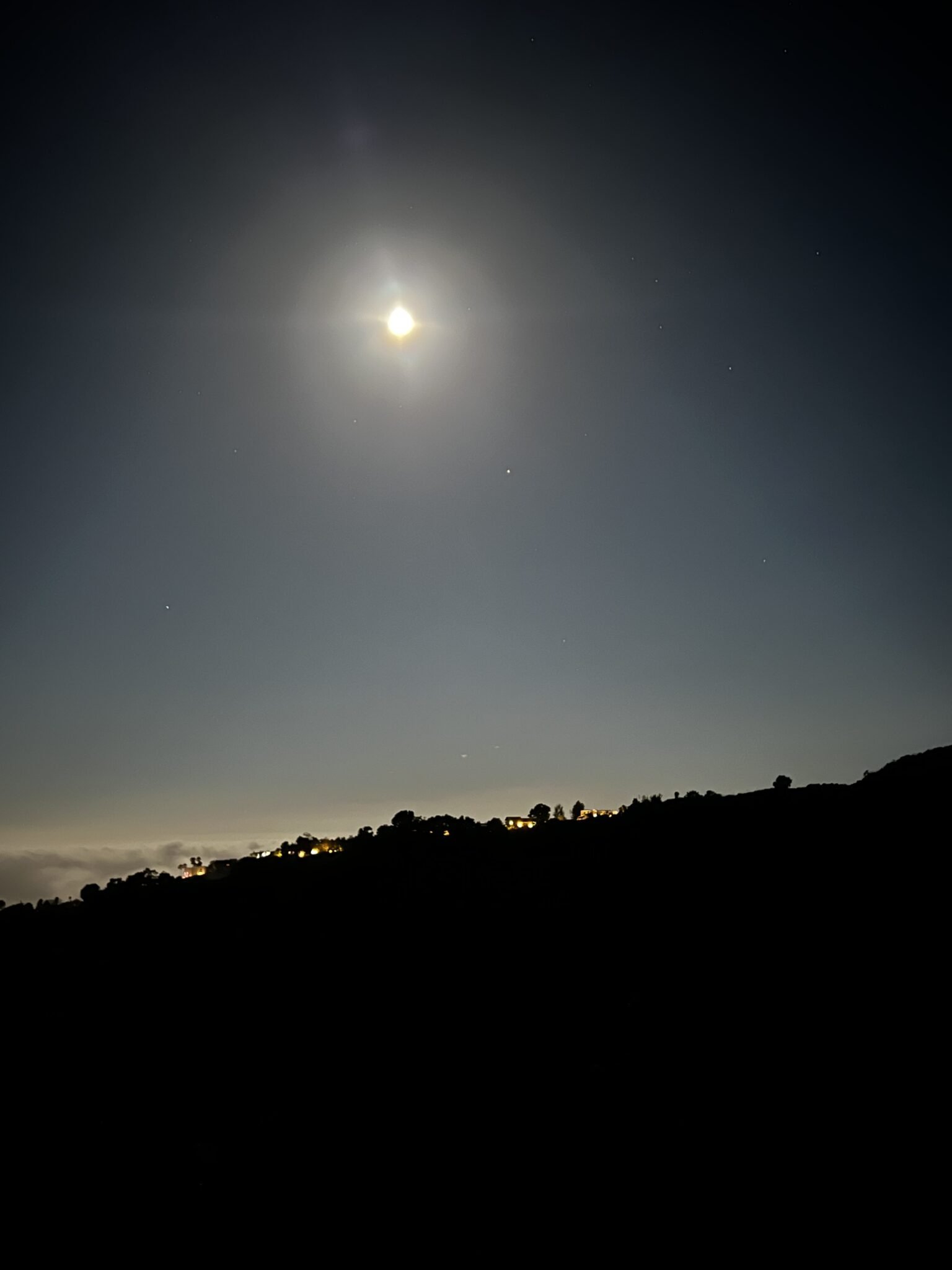 IMG_6130-1536x2048.jpeg
