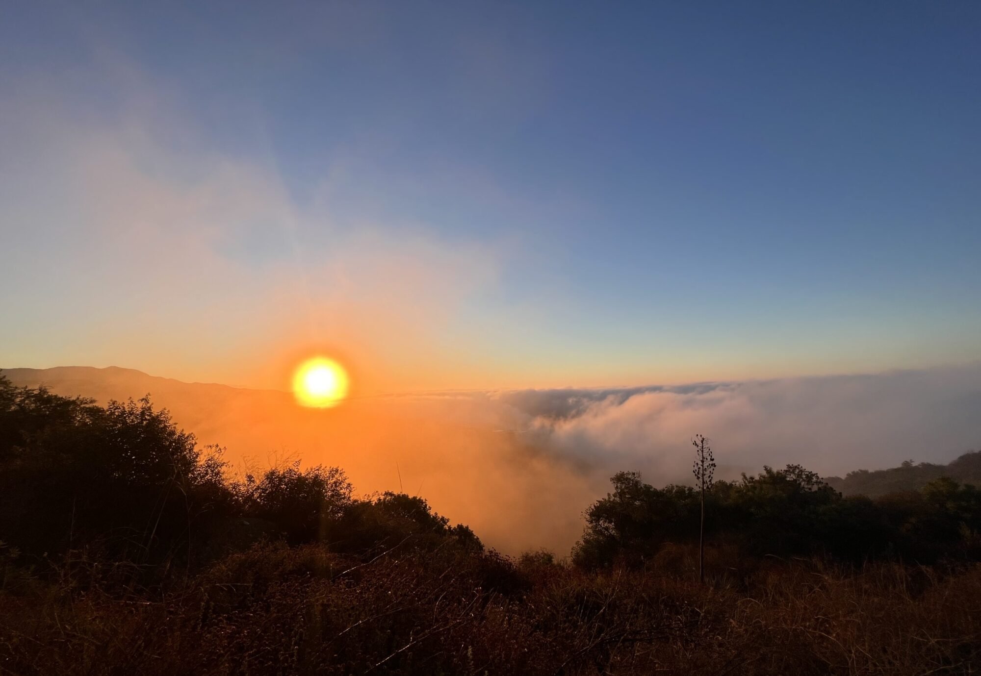 Summertime Early Morning Over the Marine Layer