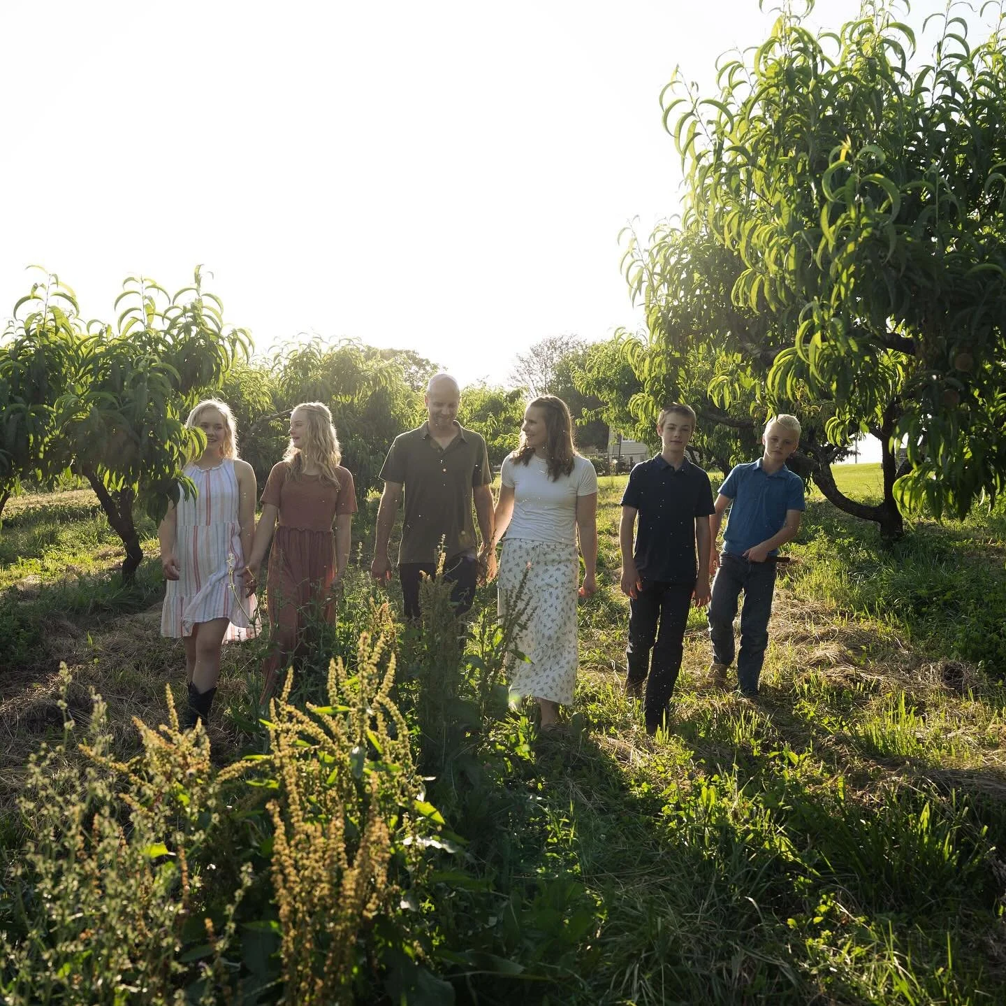 the hair family!

braved the hottest evening of the year yet to capture this week in the peach orchard and with their horses. and I&rsquo;m so glad we did!