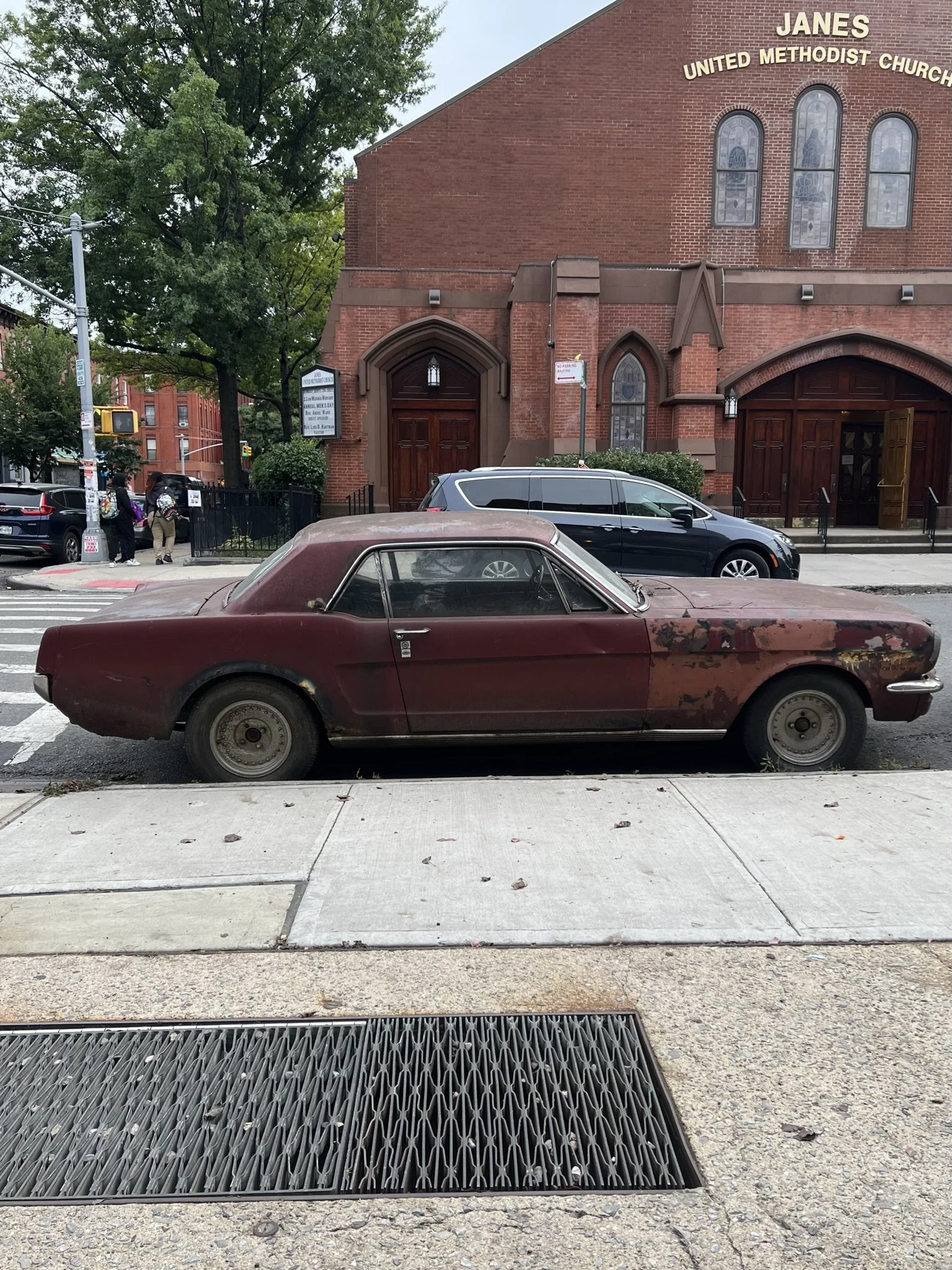 IMG_4245.JPEG