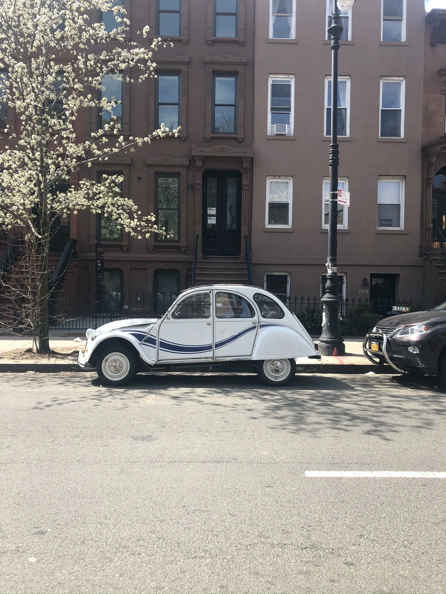 IMG_3149.JPEG