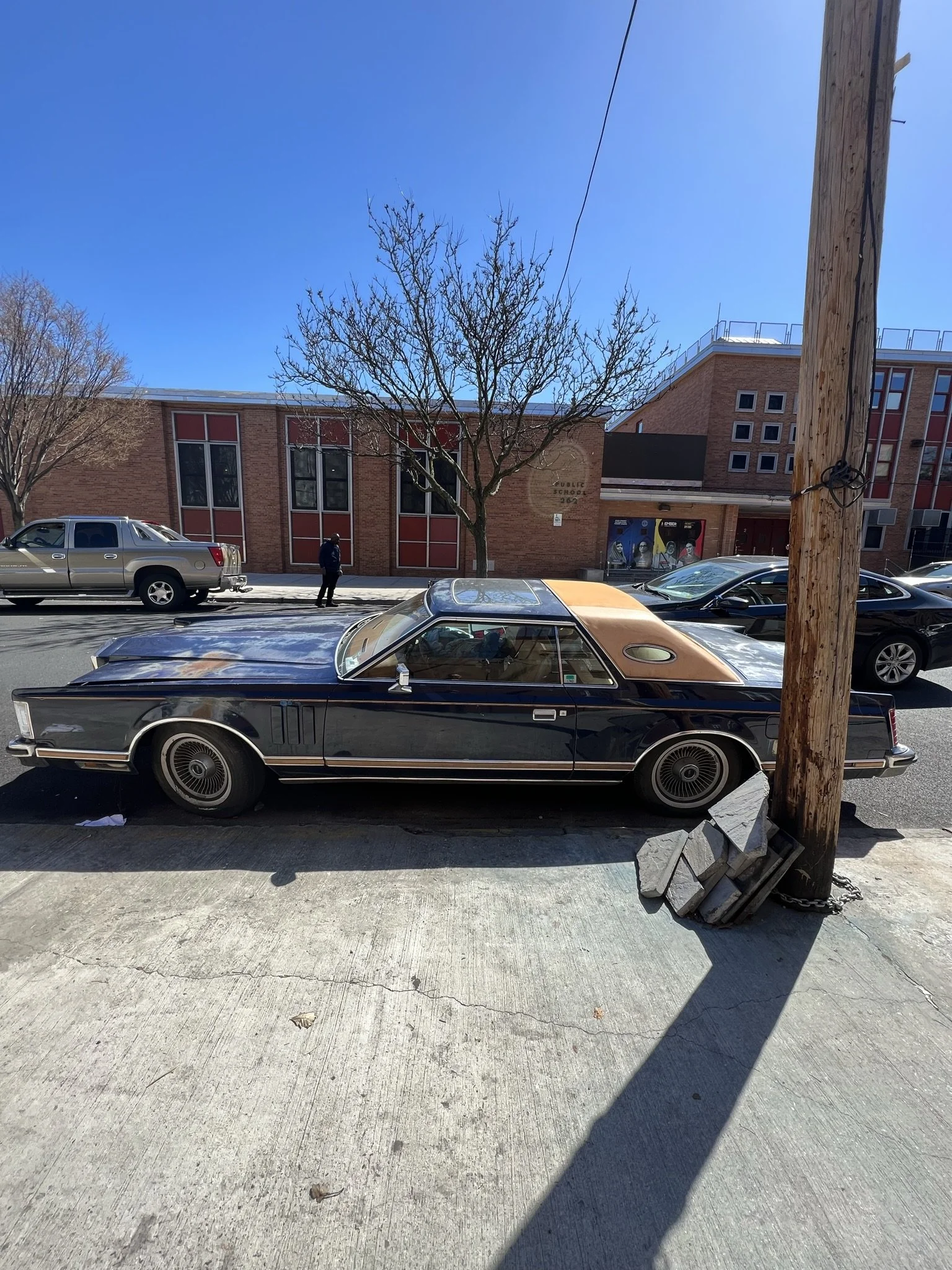 IMG_2537.JPEG