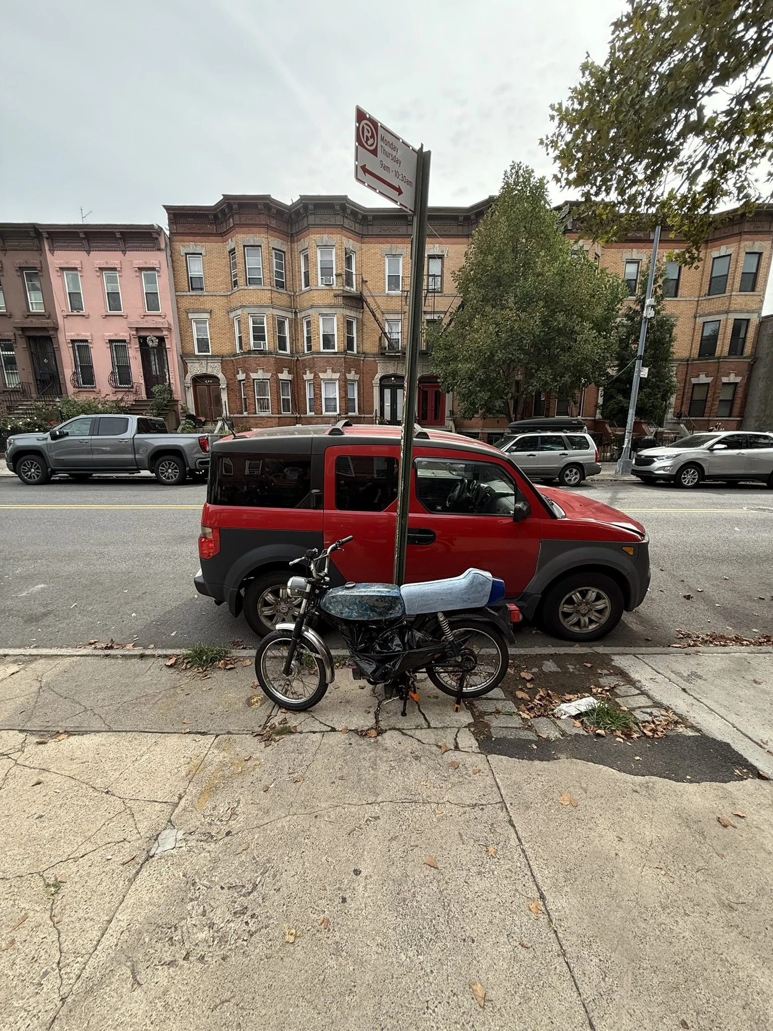 IMG_7631.JPEG