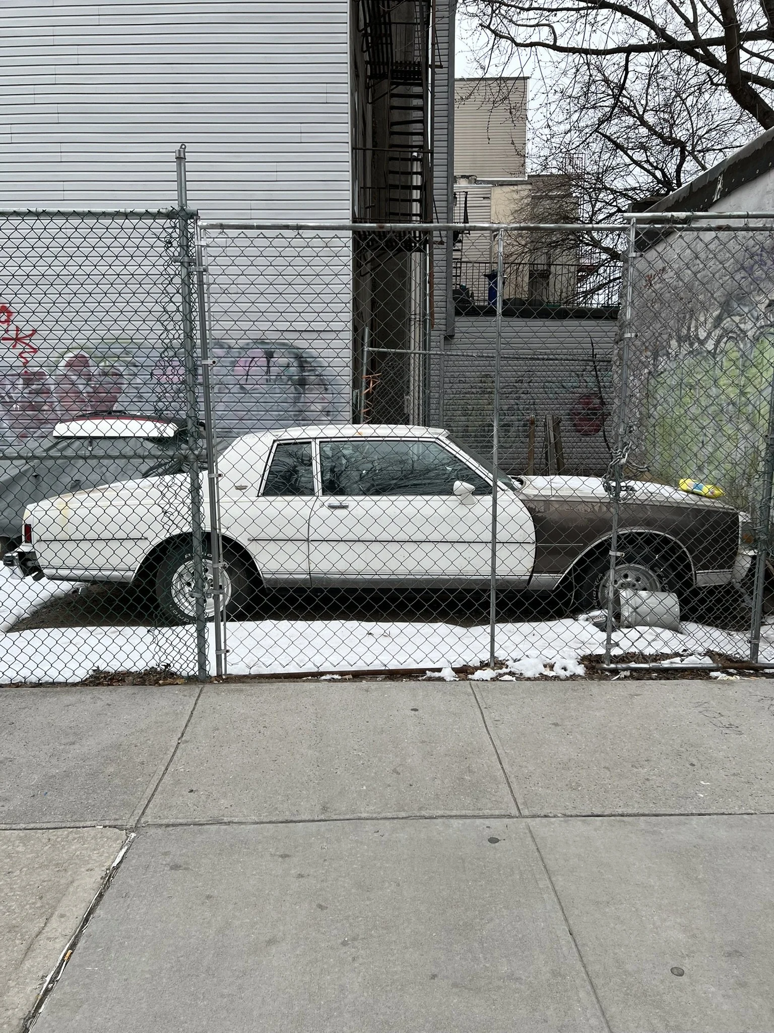 IMG_6390.JPEG