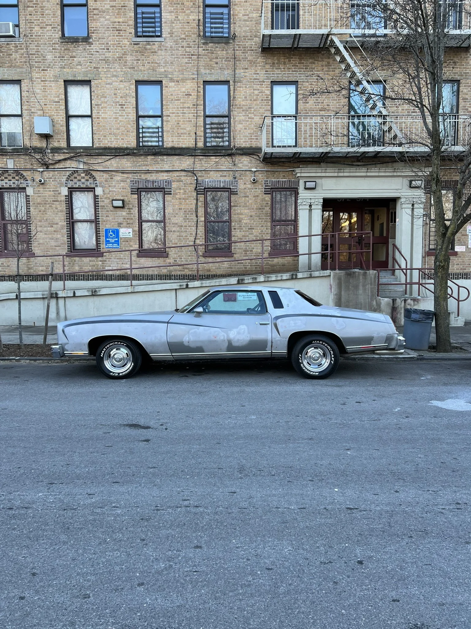 IMG_0050.JPEG