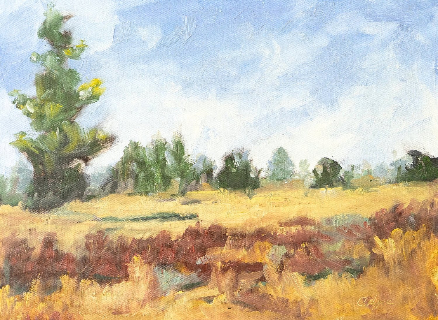 Golden Fields