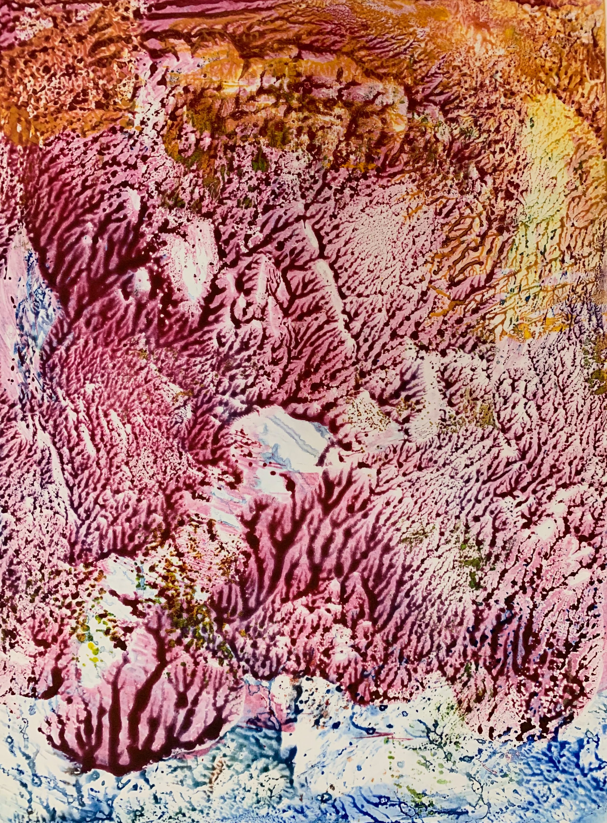 Coral Explosion
