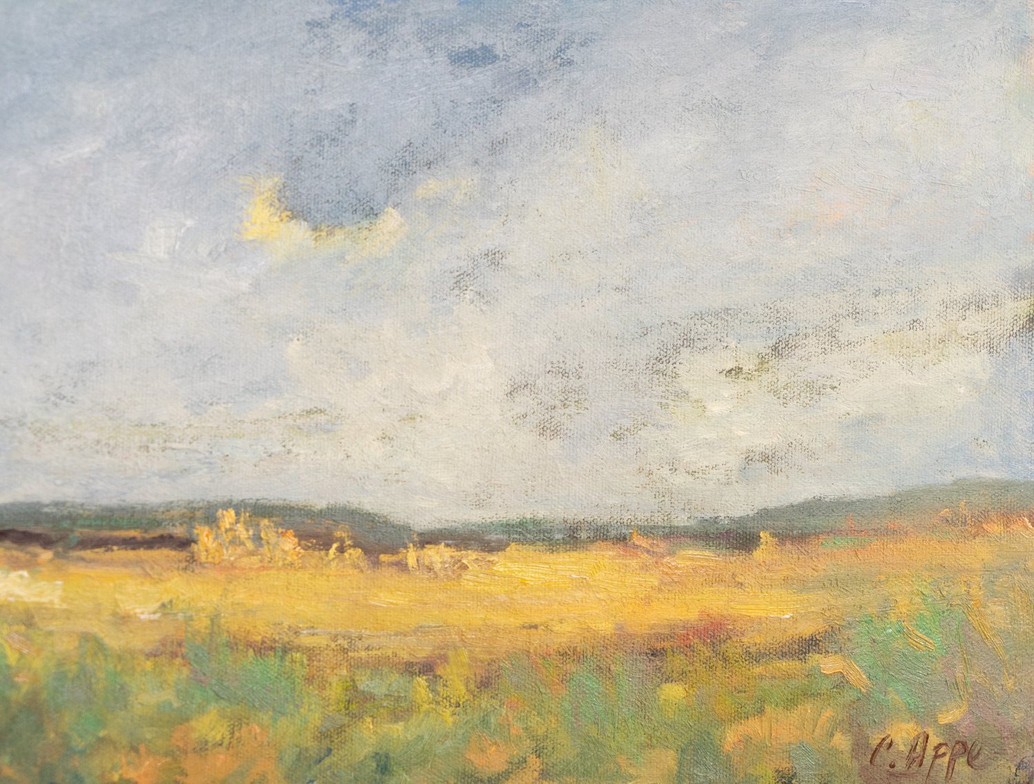 Fields to the Lake