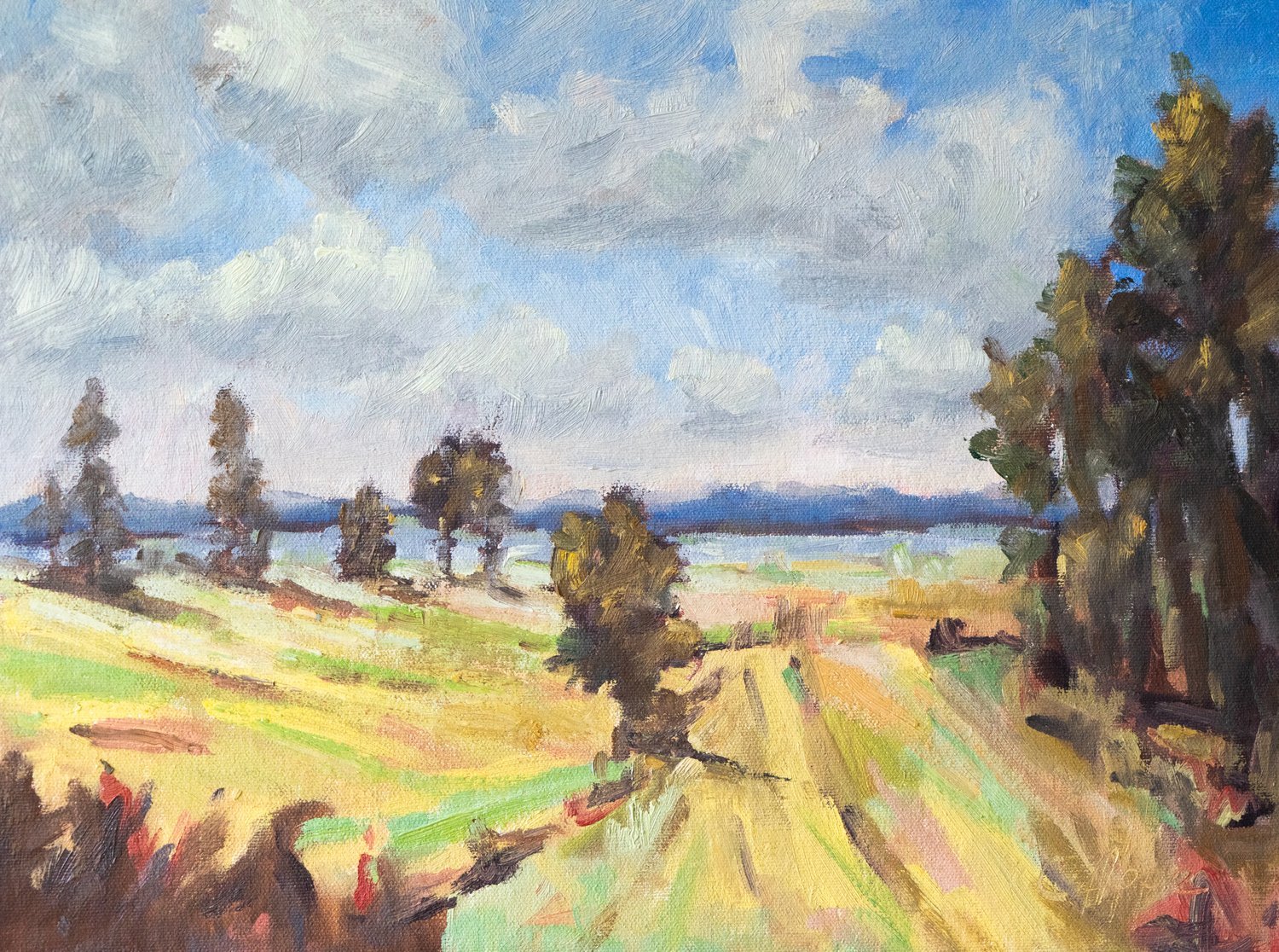 Springs Fields