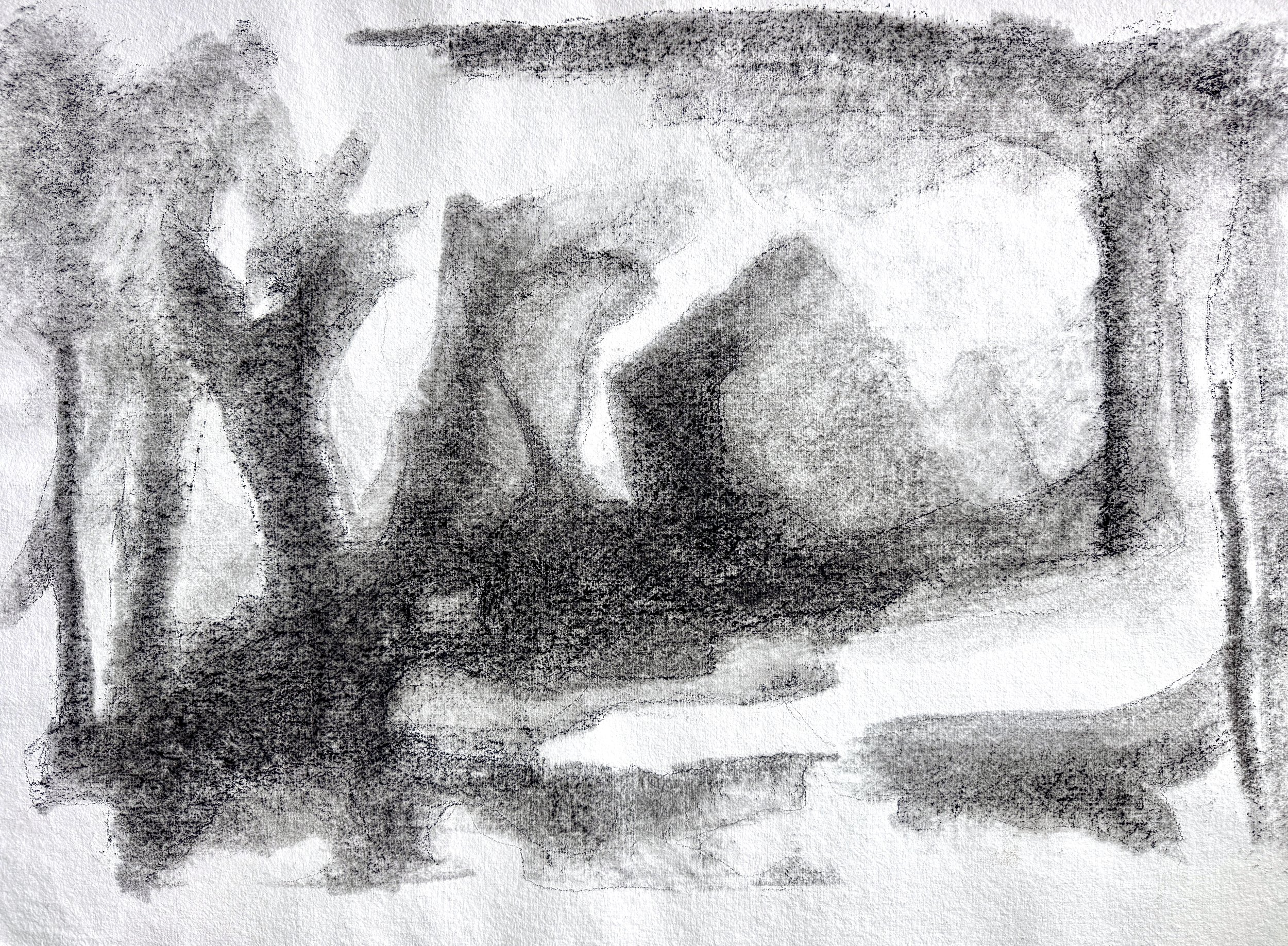 Is Anyone Paying Attention?  27.5" X 40.25", charcoal on handmade paper