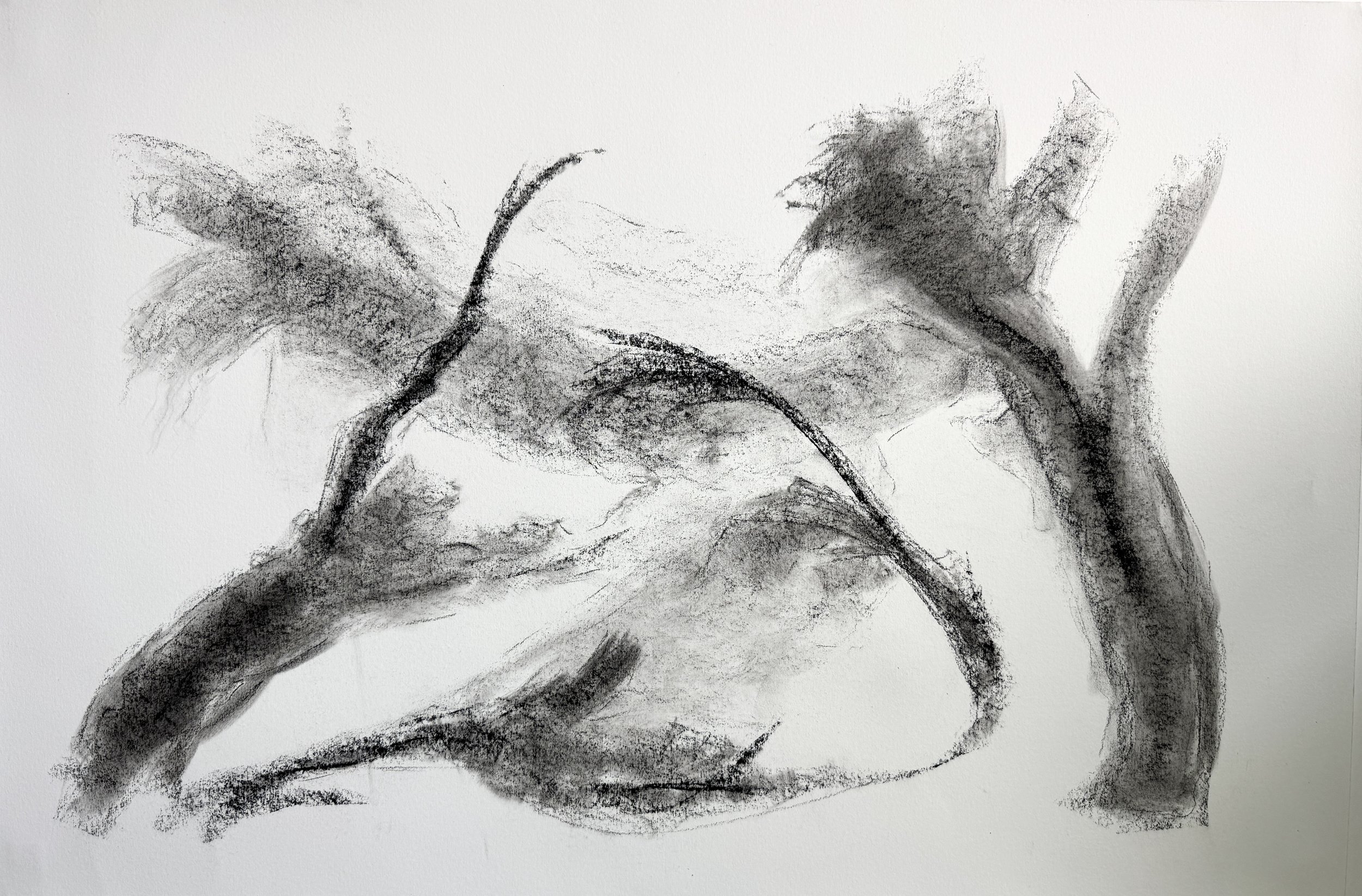 A Simple Plan, 25” x 38”, charcoal on paper 