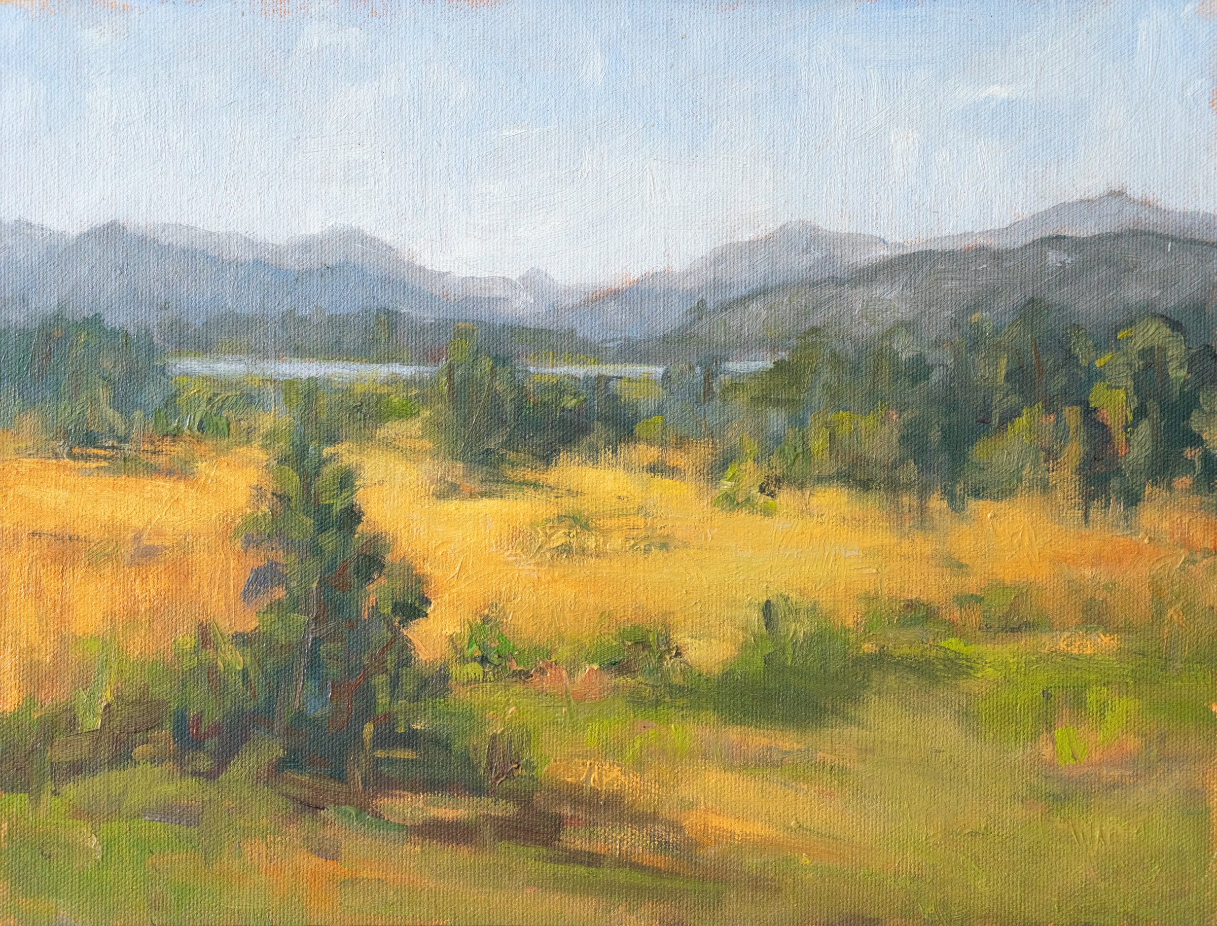 Fields in the Fall