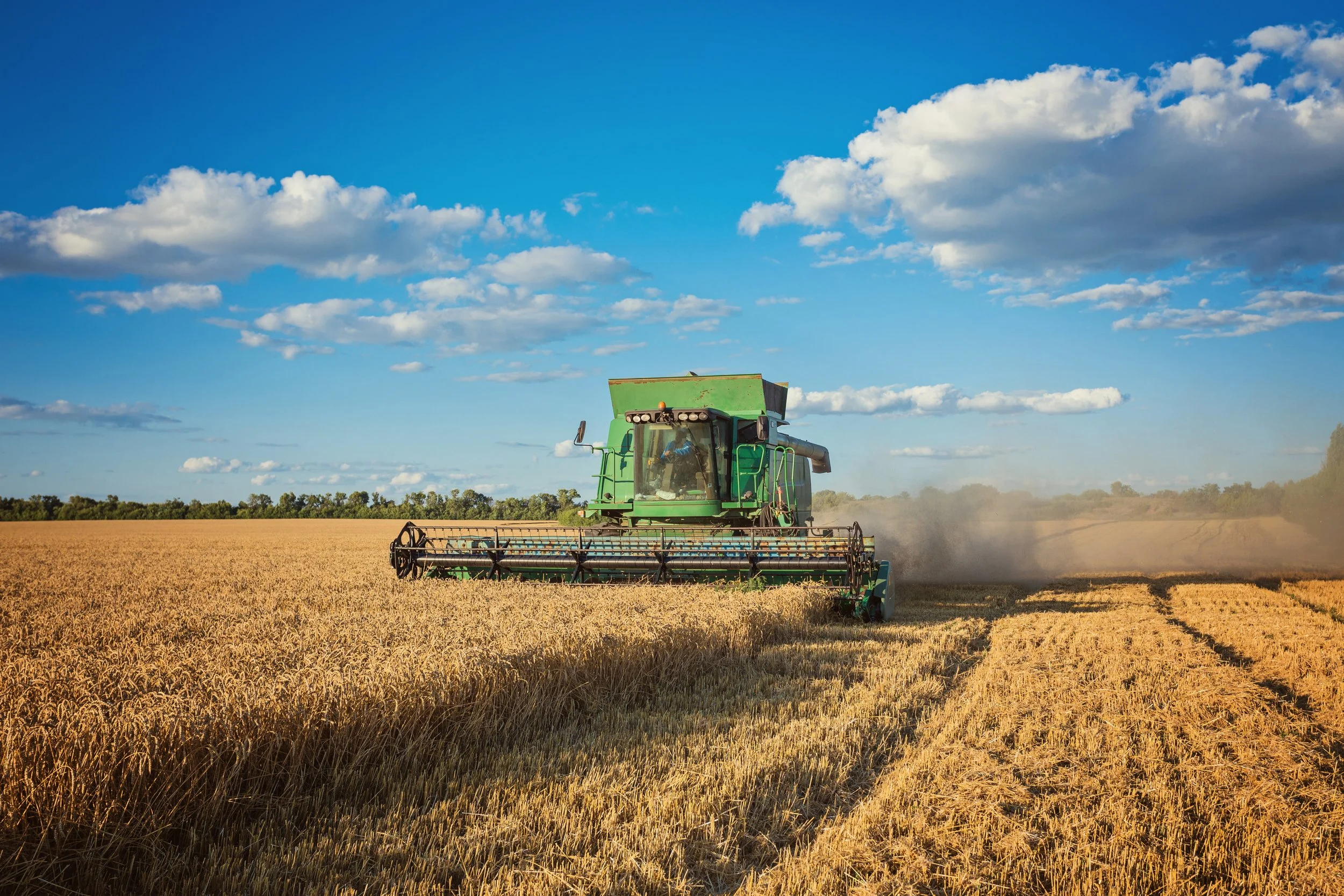L'affaire BF Agricole : quand le défaut de transparence annule tout