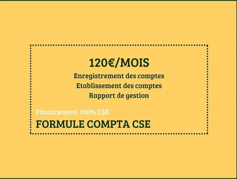 Expertise CSE- formation CSE lecture des comptes