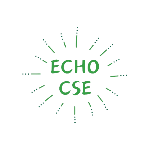 ECHO CSE formation CSE en SSCT et économique en présentiel ou distanciel