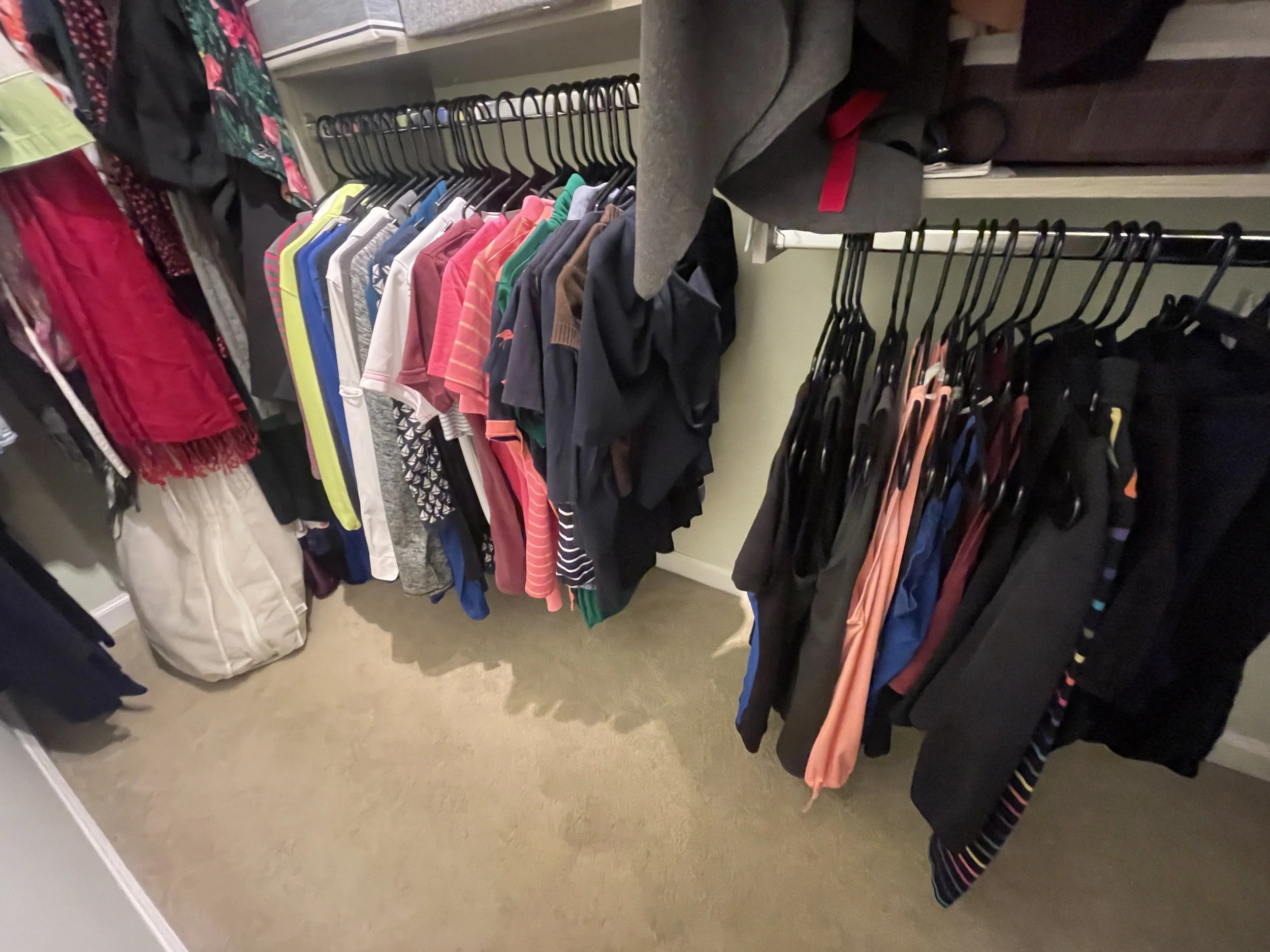 Organized closet showing hanging dresses and tops.