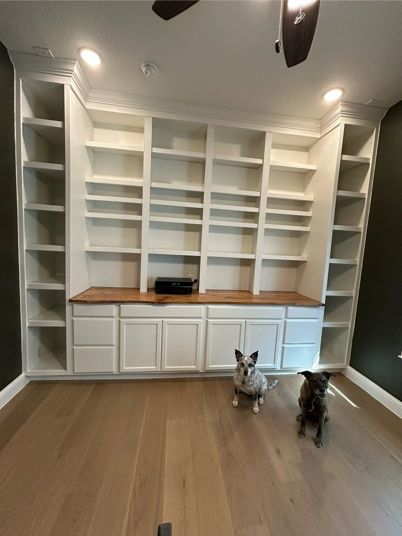 A built-in white bookcase with open shelving and a wooden countertop, two dogs sitting on a hardwood floor in front of it, and dark walls on either side.
