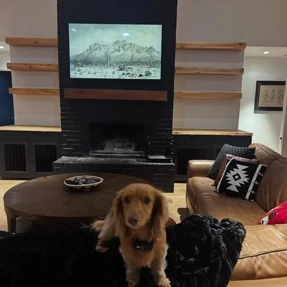 Living room built in dog kennels with solid cedar floating shelves above the kennels. there is a matching mantle and solid cedar wood counter tops on top of the kennels