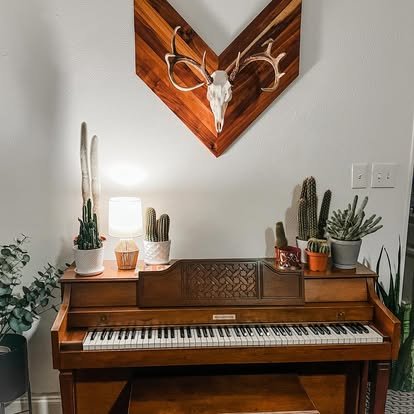 Mounting for a deer head made of koa wood from hawaii. custom wall hanging mounts for hunting. solid wood hunting mounts 