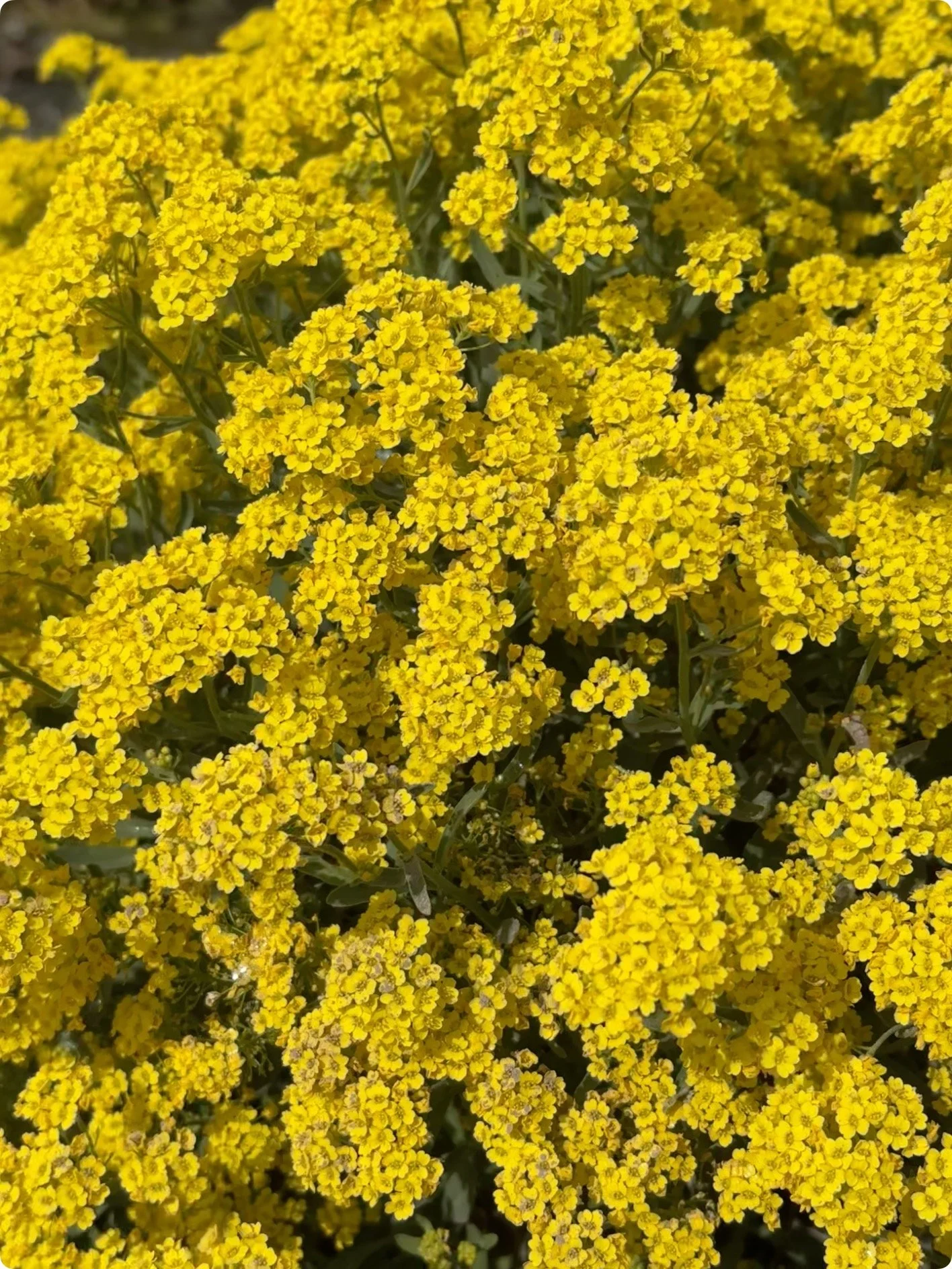 Screenshot 2025-11-11 at 15.11.45.jpg