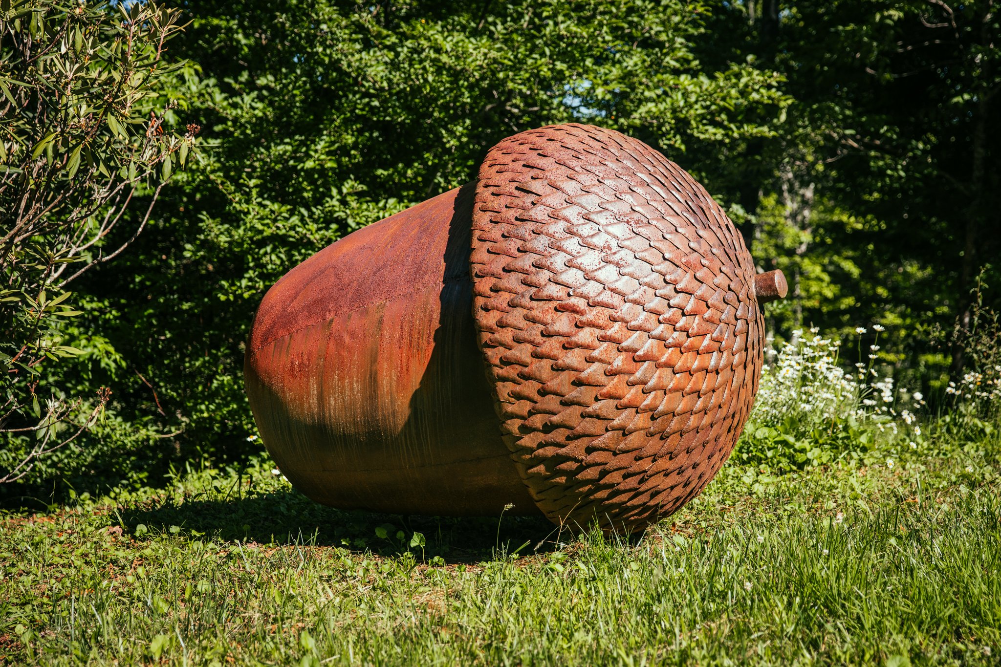 TER_3817.jpg