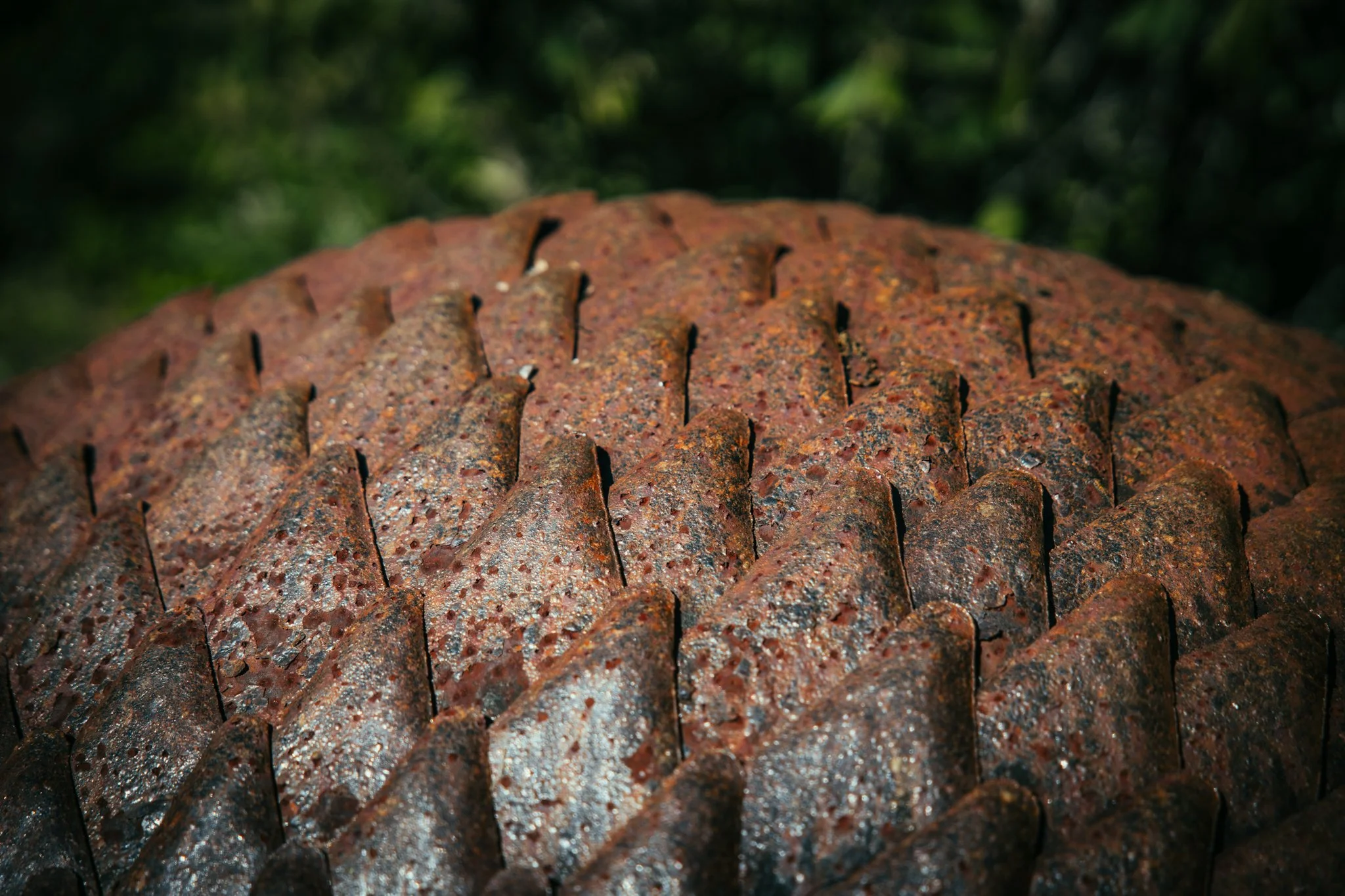 TER_3821-2.jpg