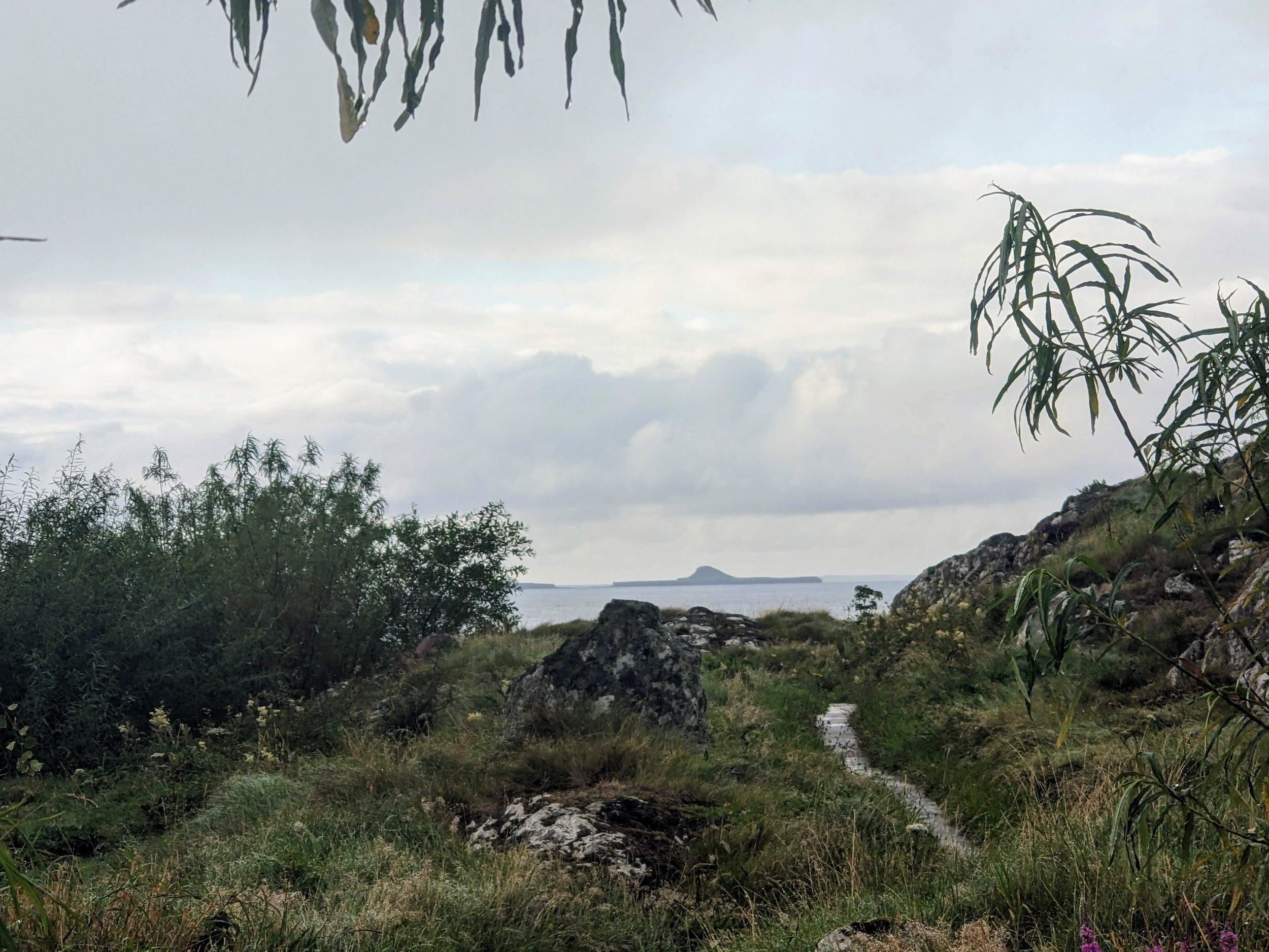 View from Iona