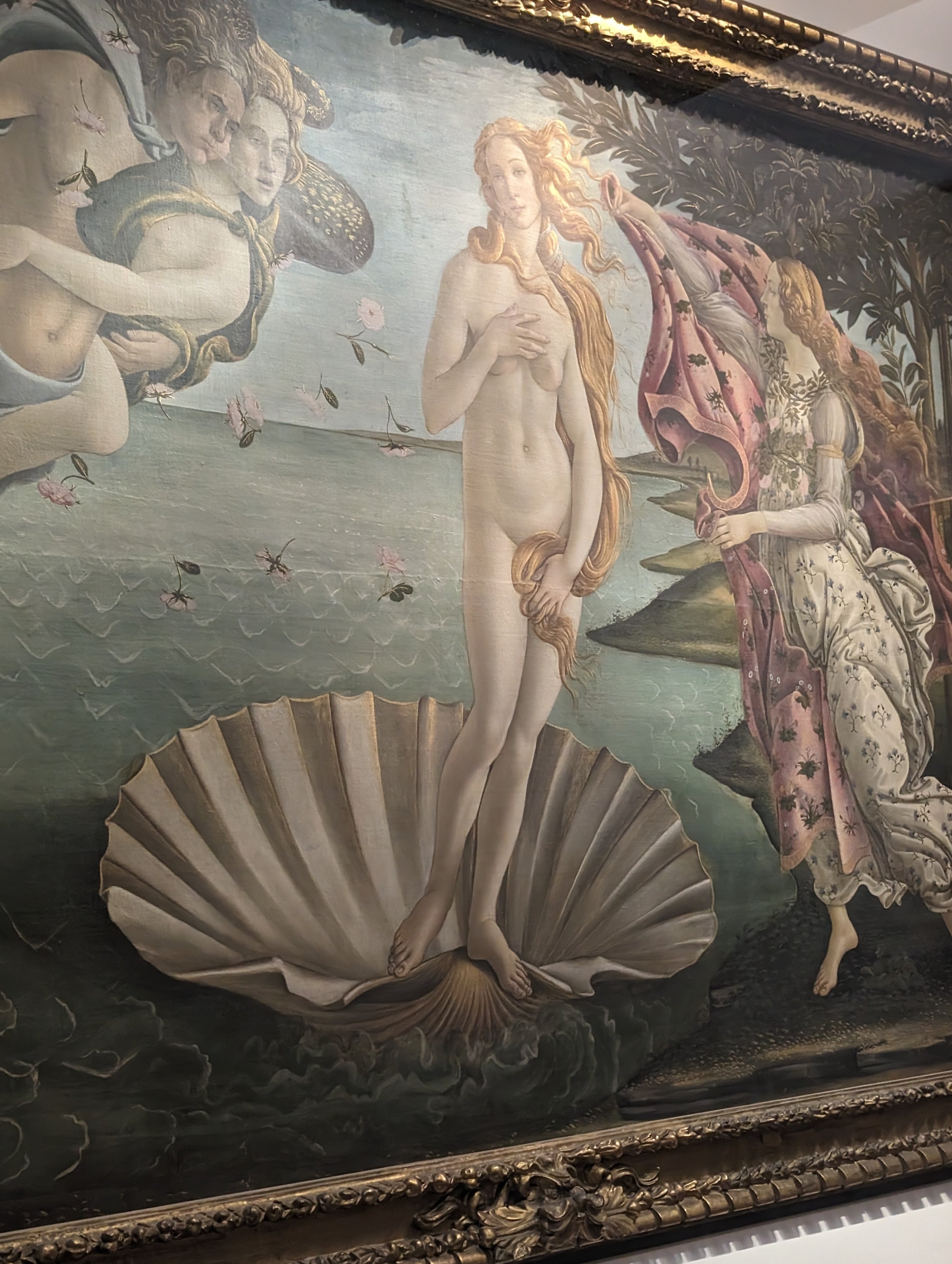 Botticello's Birth of Venus at the Uffizi