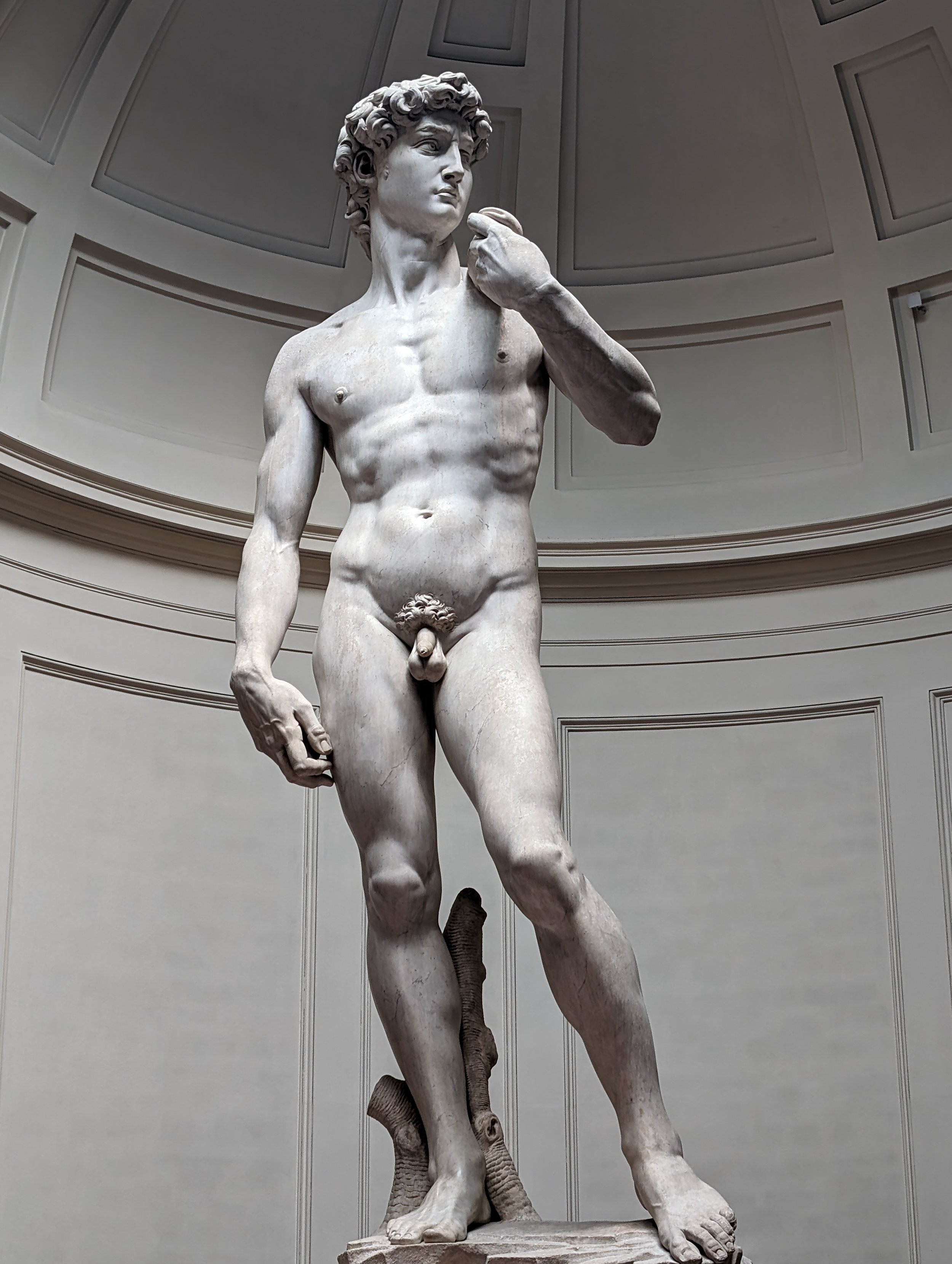 Michaelangelo's David