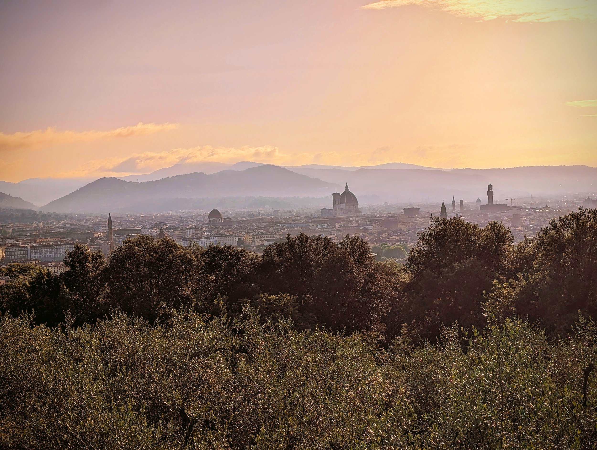 View of Florence from Torre di Belllosguardo
