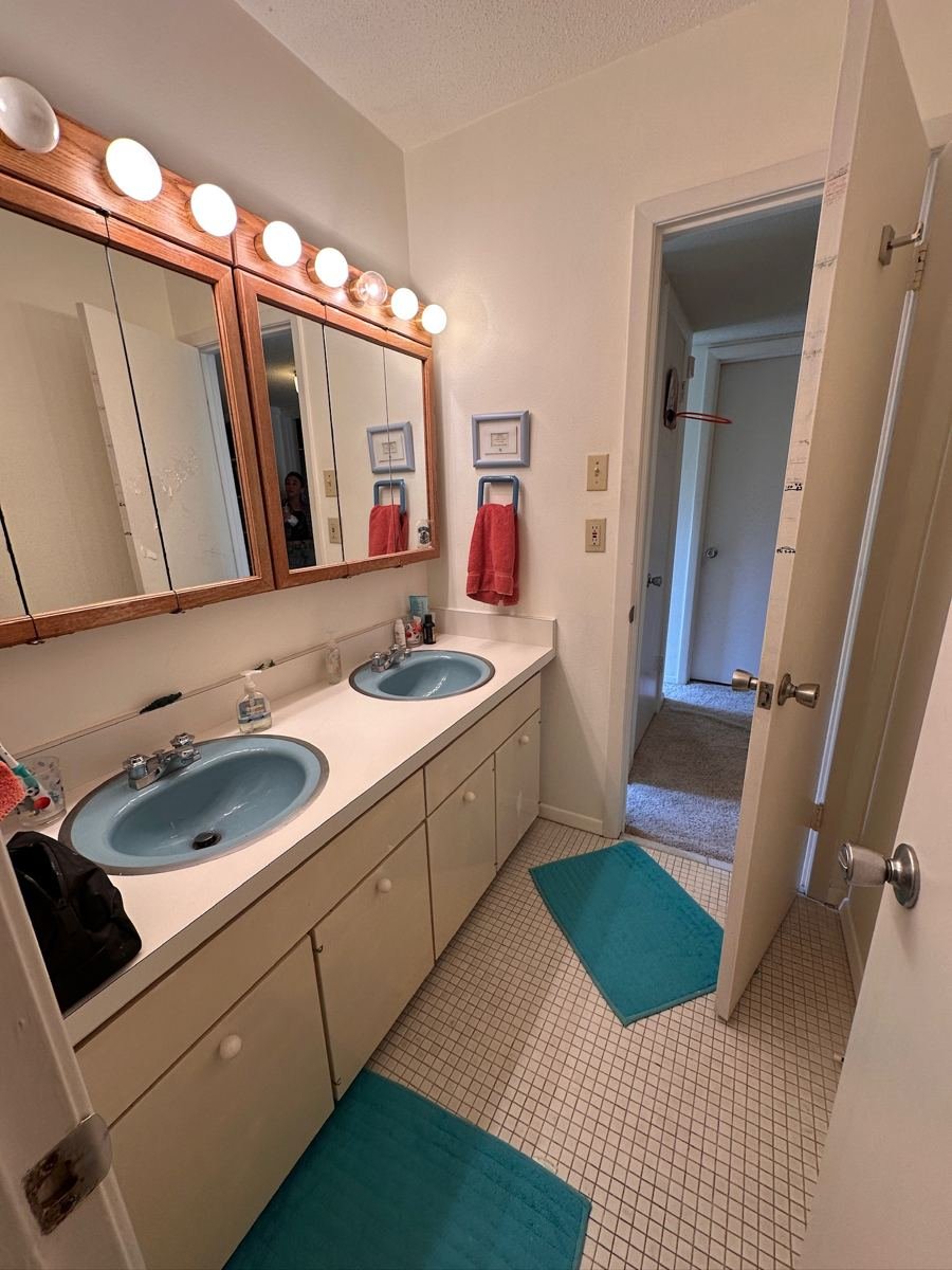 brockenbraugh-before-kids-bathroom.jpg