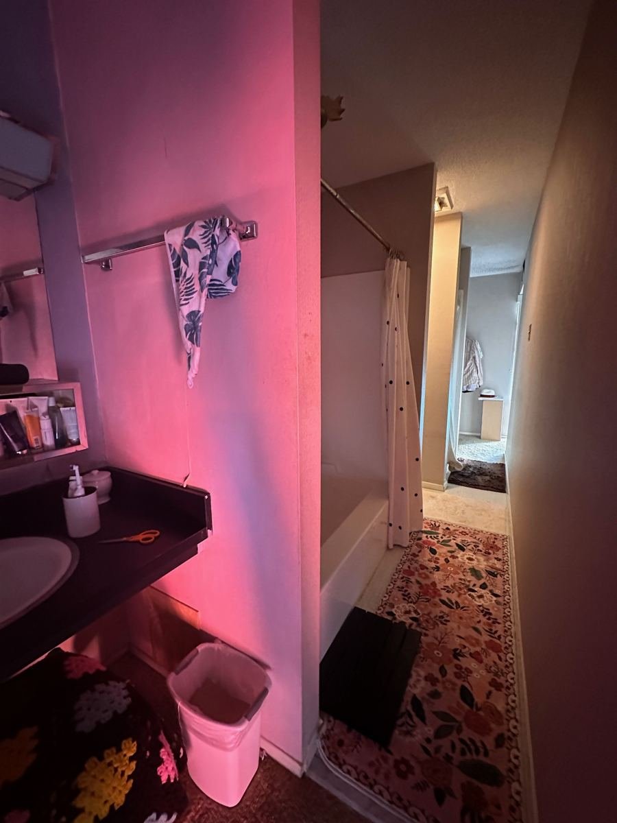brockenbraugh-before-primary-bath-hall.jpg
