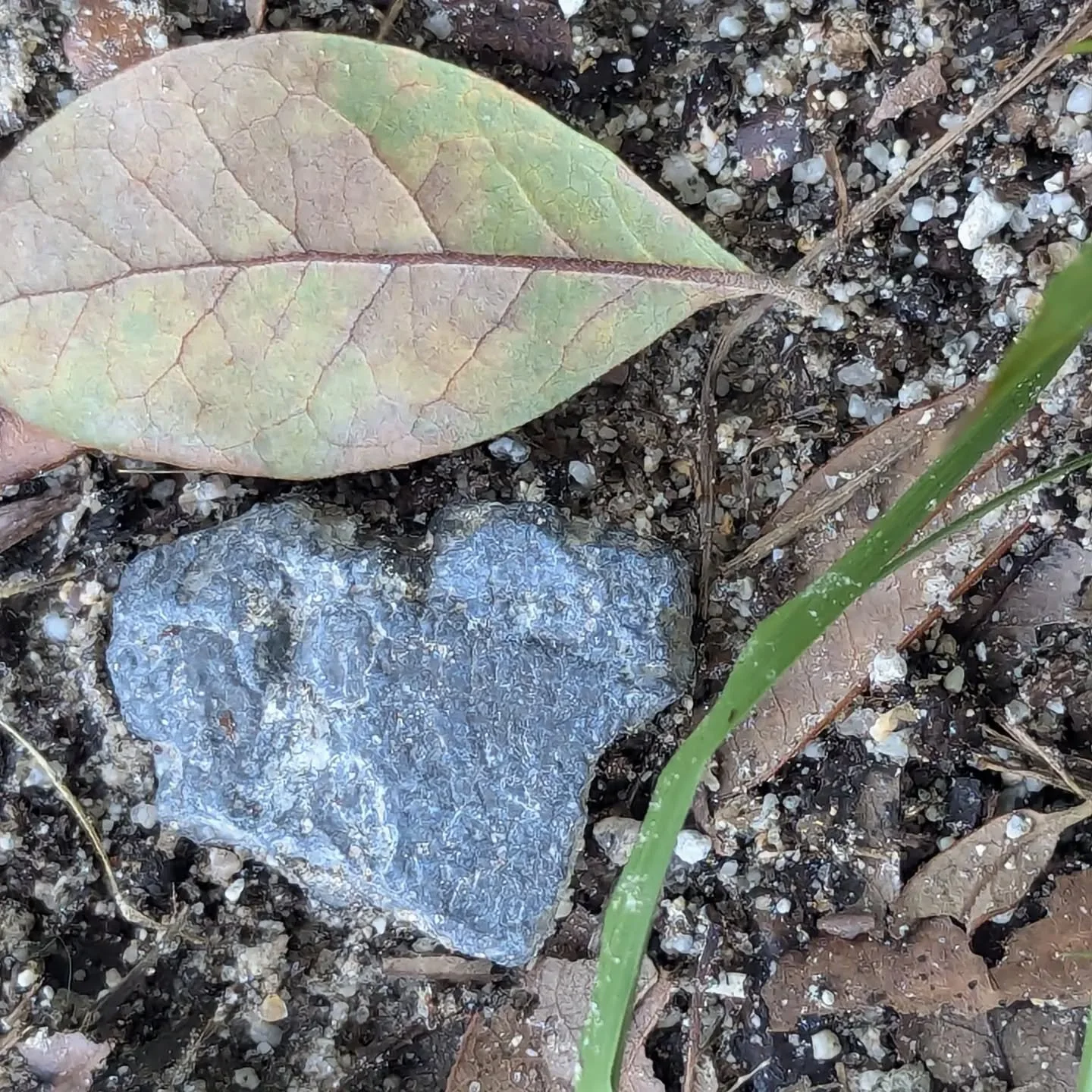 🎶Well, we know where we're goin'
But we don't know where we've been
And we know what we're knowin'
But we can't say what we've seen🎶