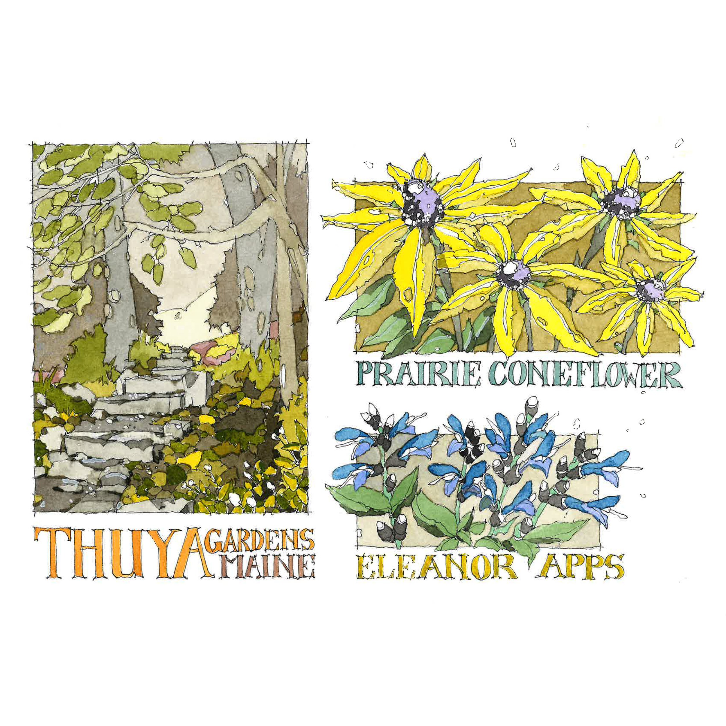 10.21.2024 Thuya 2.jpg