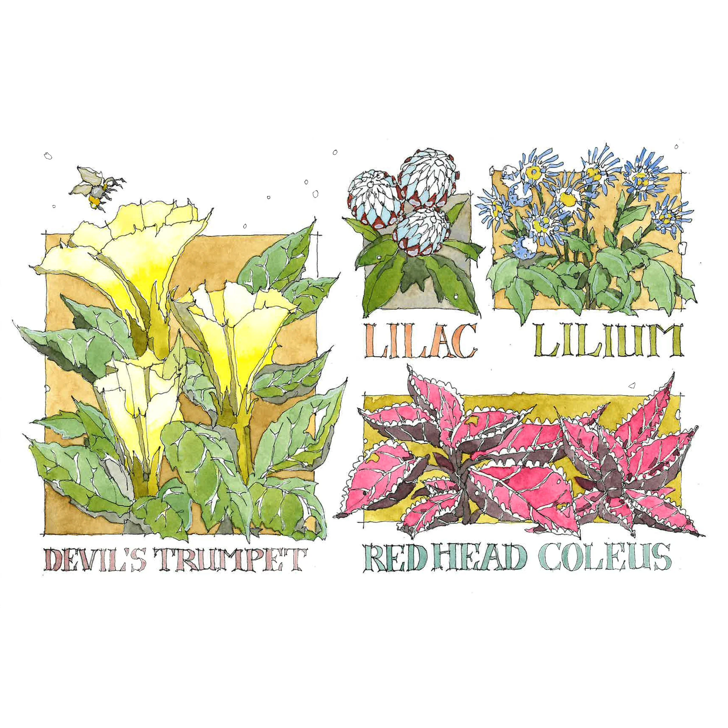 10.21.2024 Thuya 1.jpg