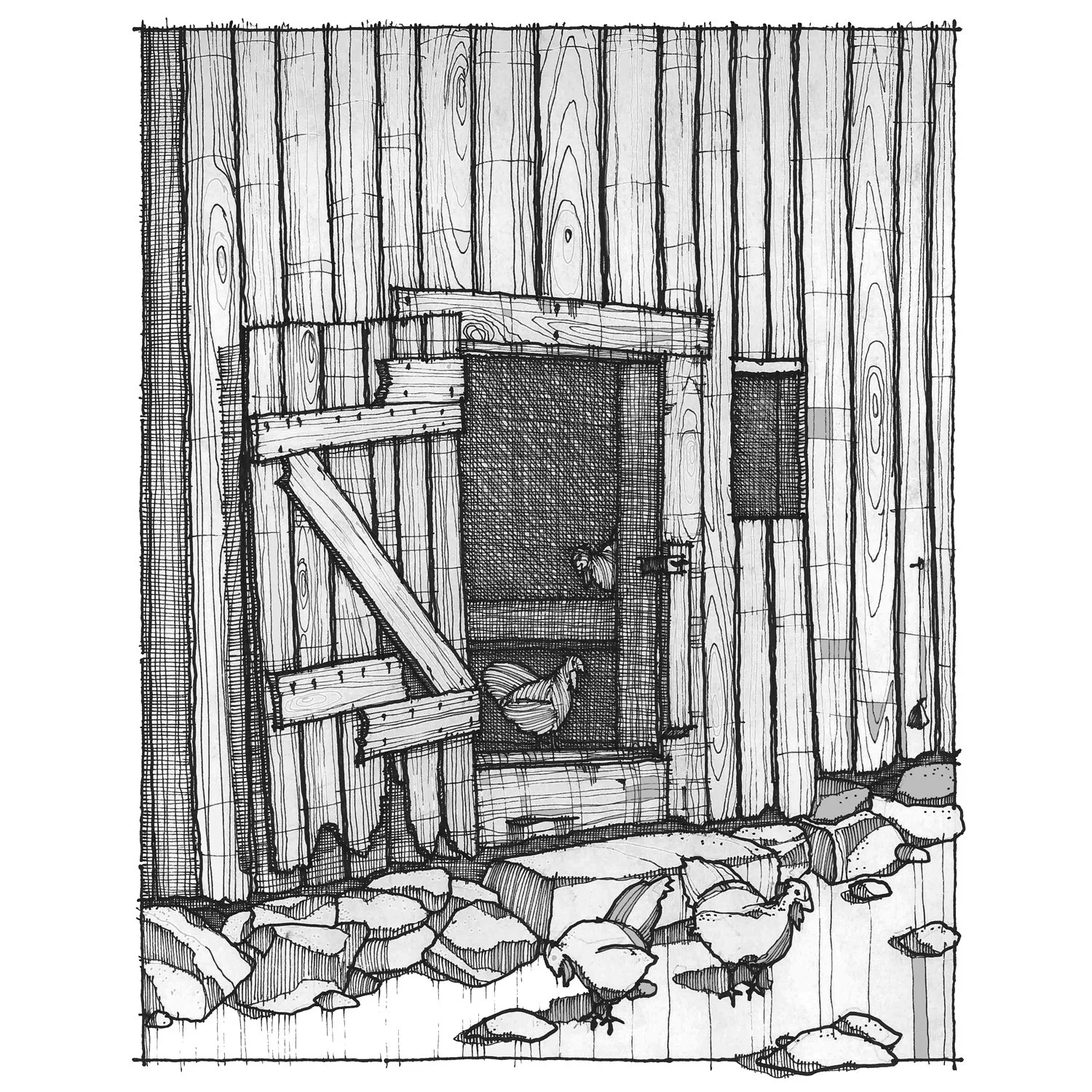 Stagville Chickens.jpg