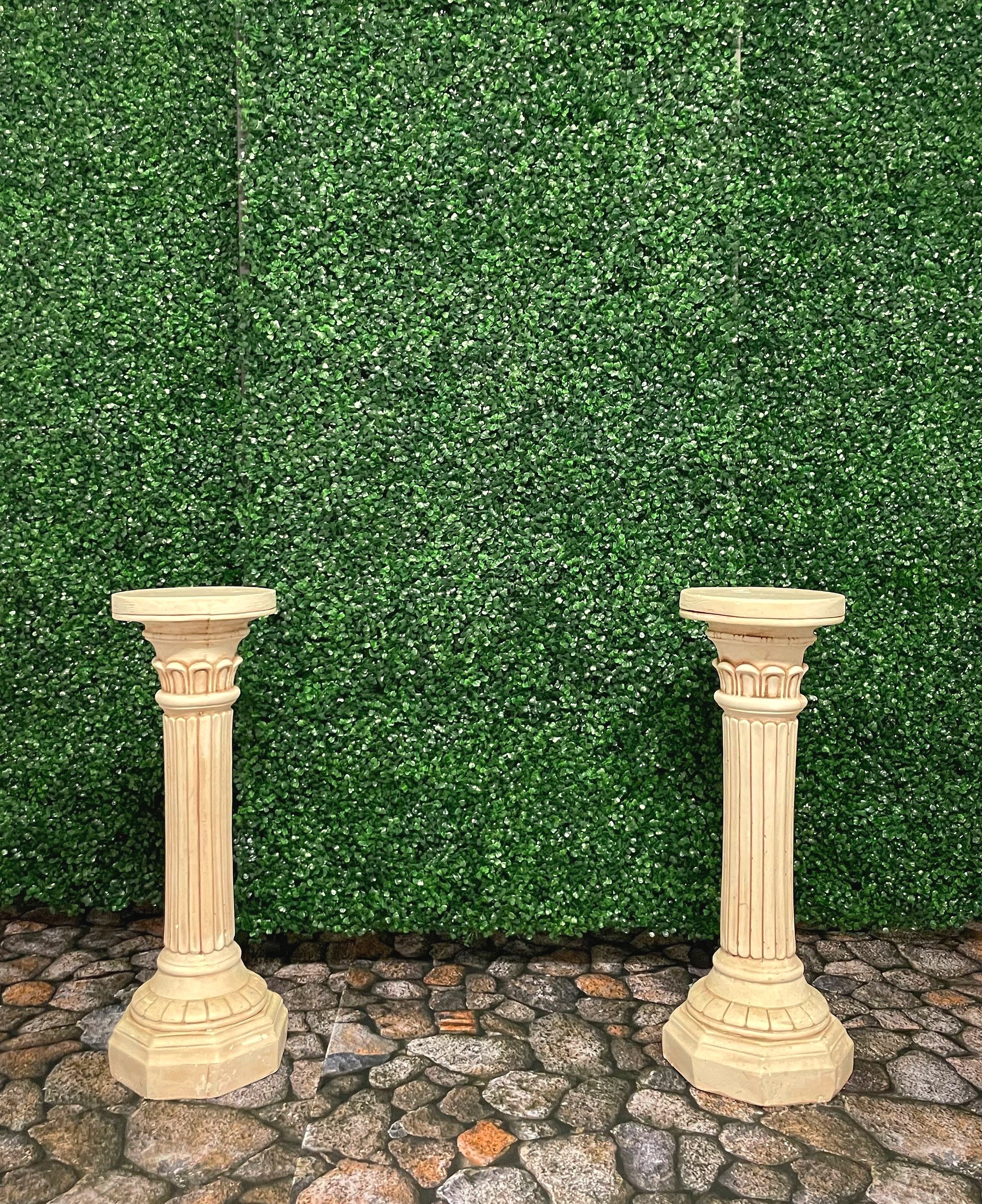 Boxwood Hedge Rows