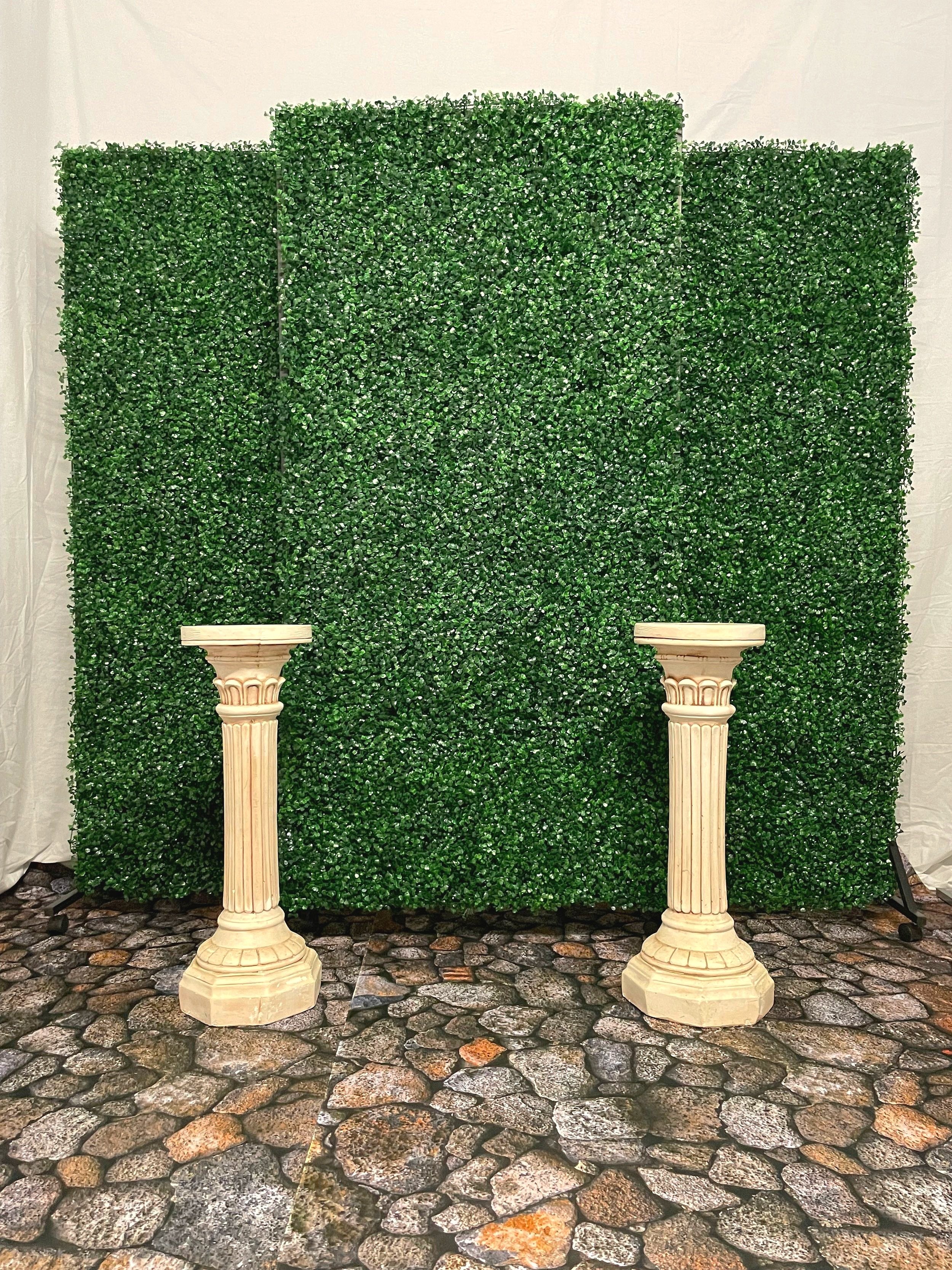 Boxwood Hedge Rows